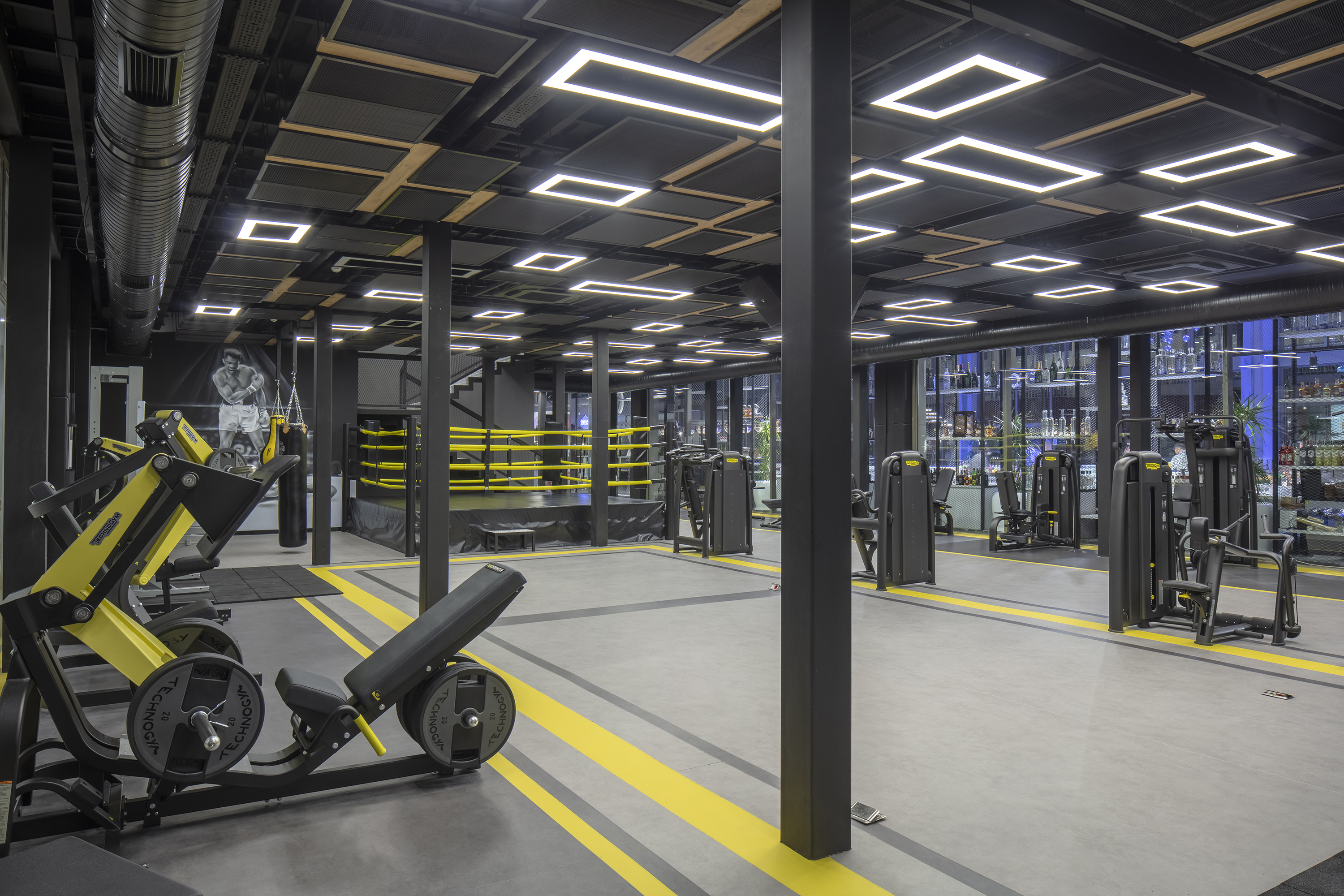 Sports and Entertainment