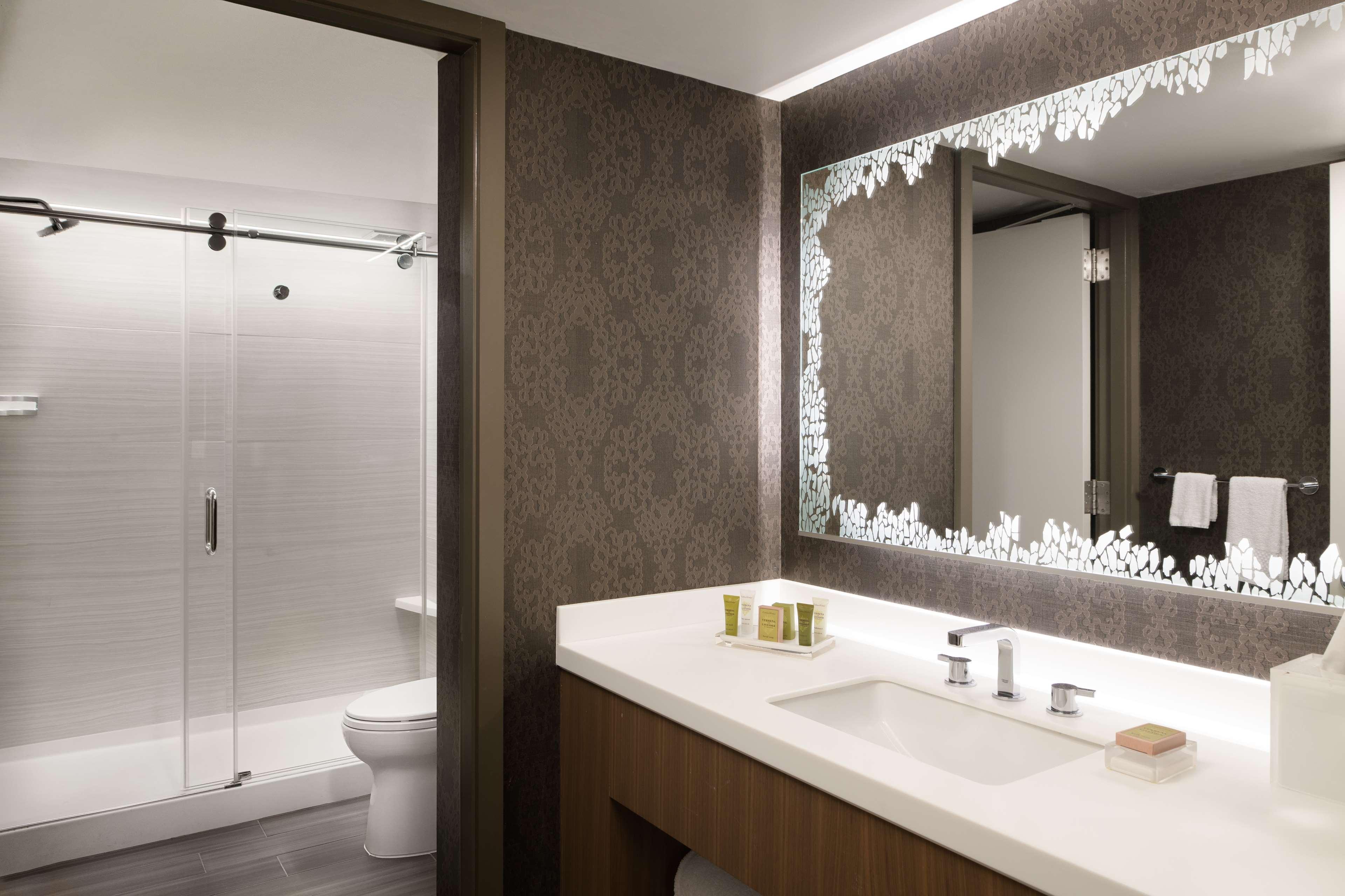 Suite City View One Bedroom