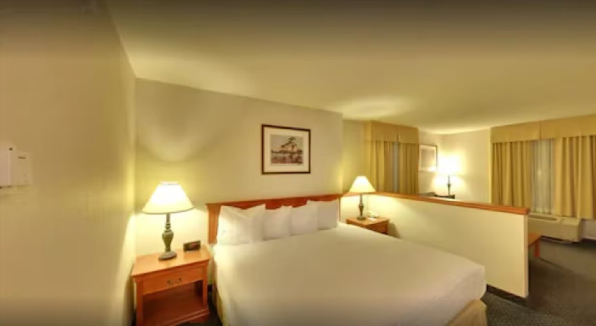 Suite King Bed Non Smoking