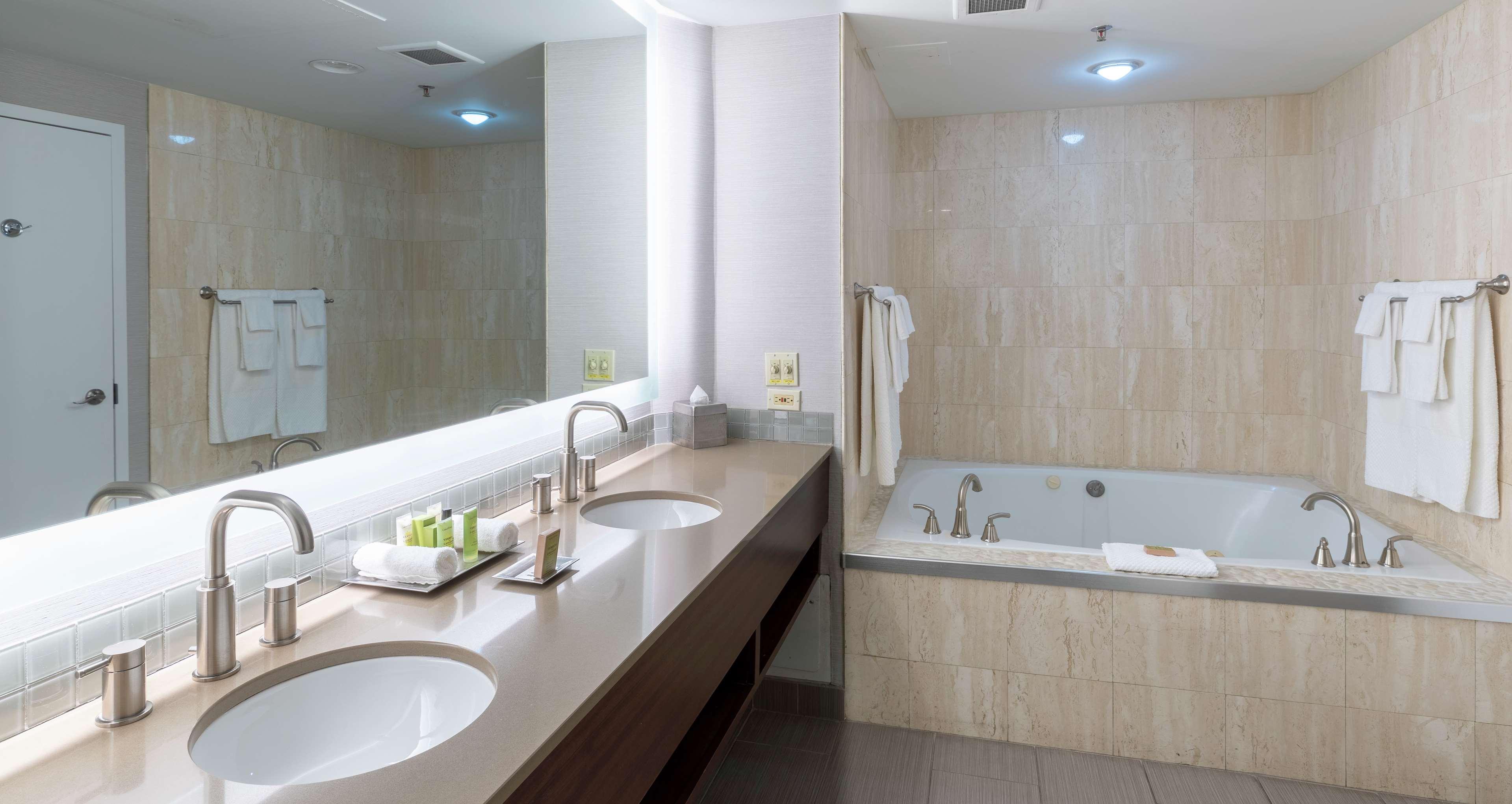 Suite King Bed One Bedroom 