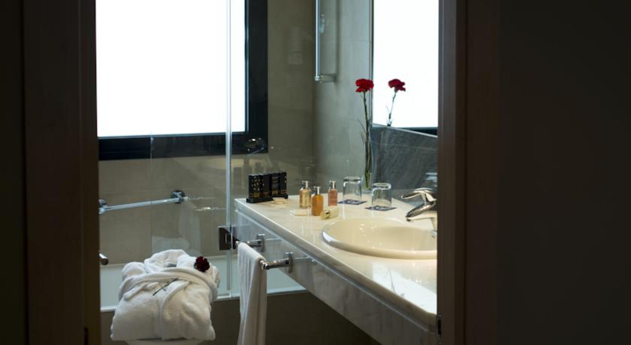 Twin Superior with Terrace