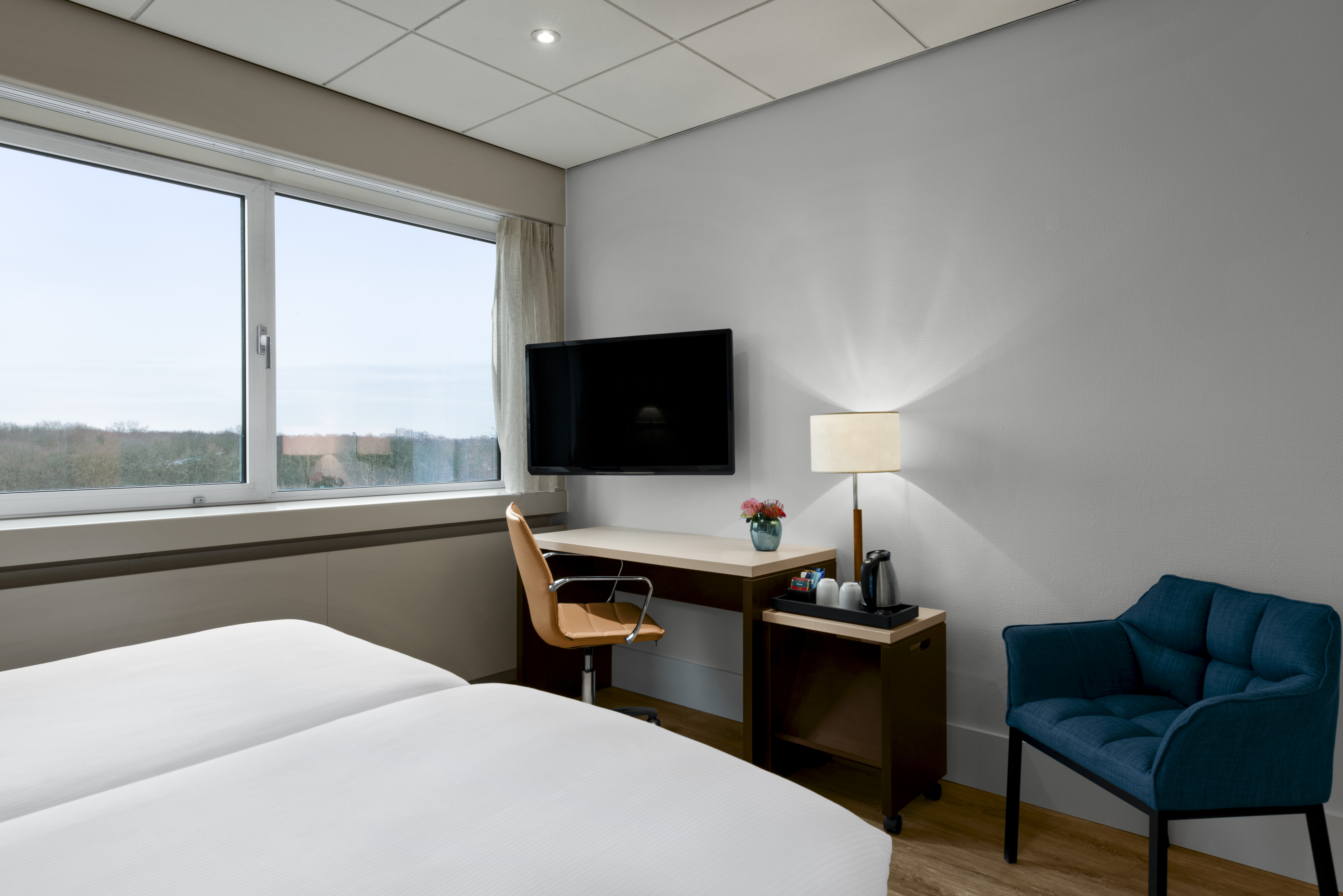 Double Superior with Views