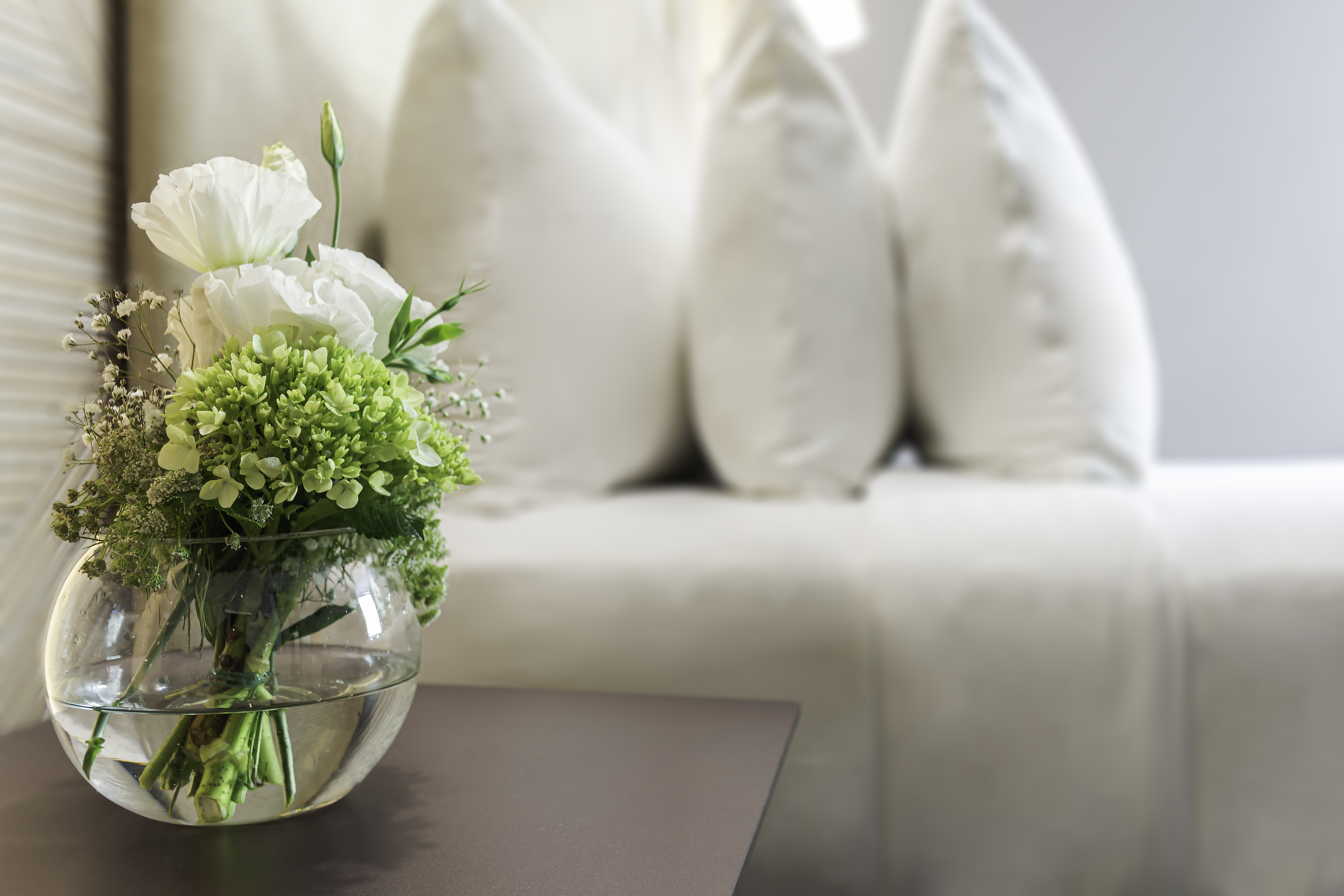 Family Room Standard