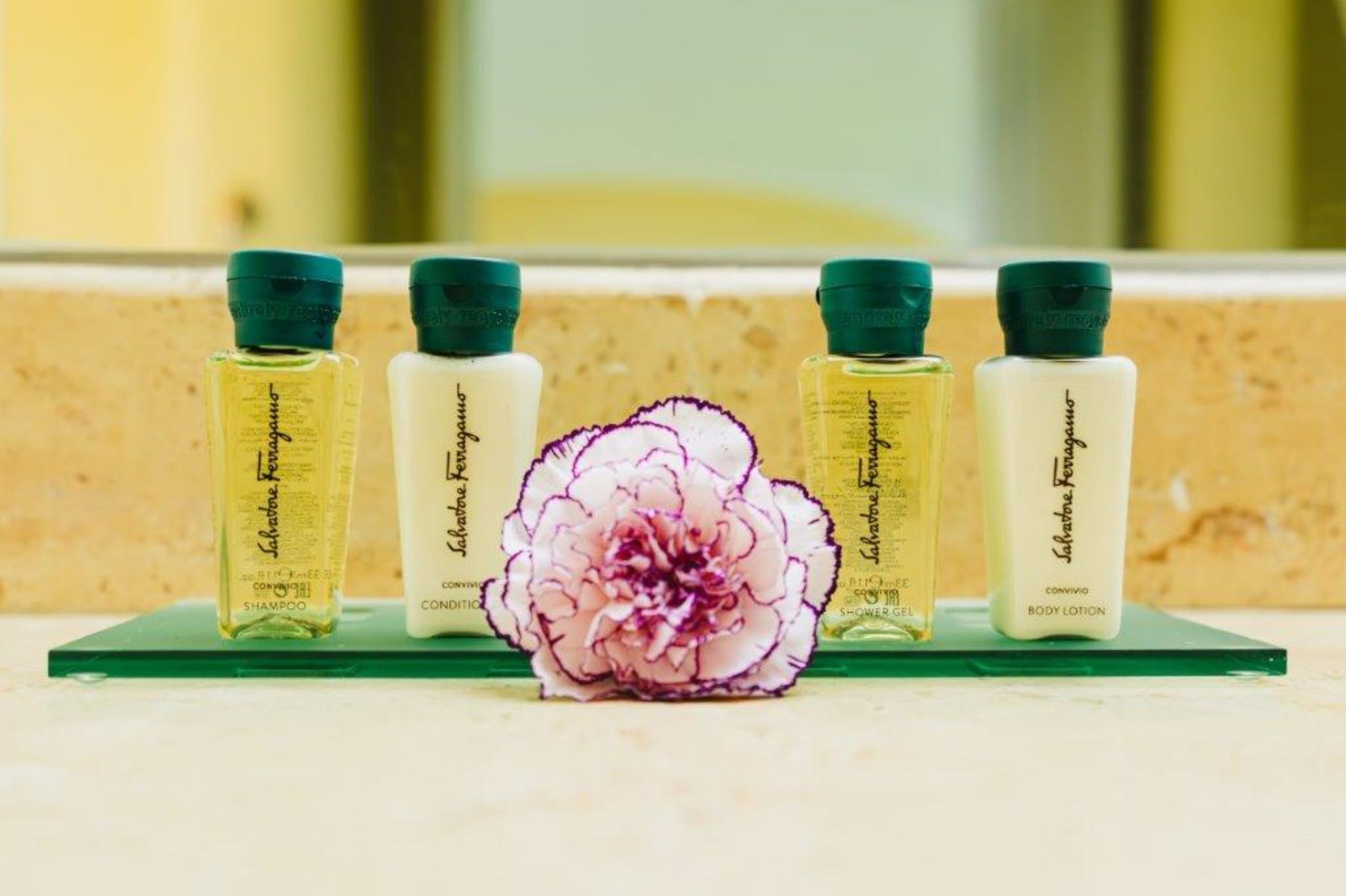 Suite with Private Pool