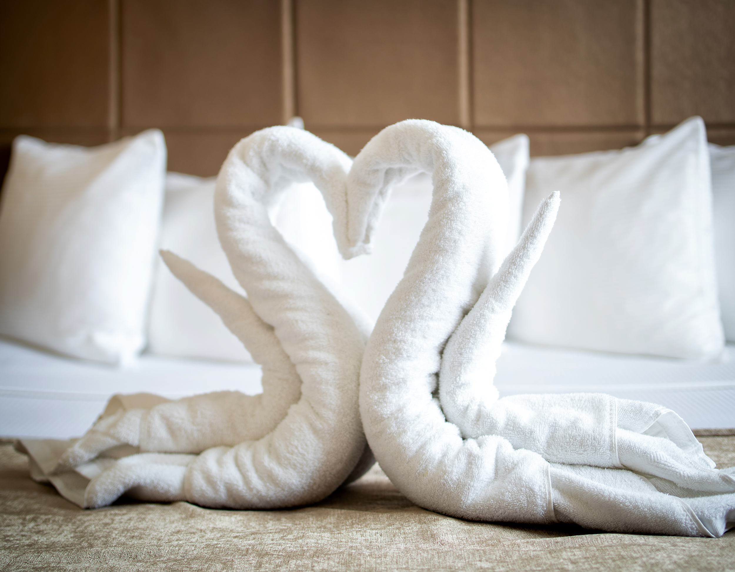 Apartment Three Bedrooms