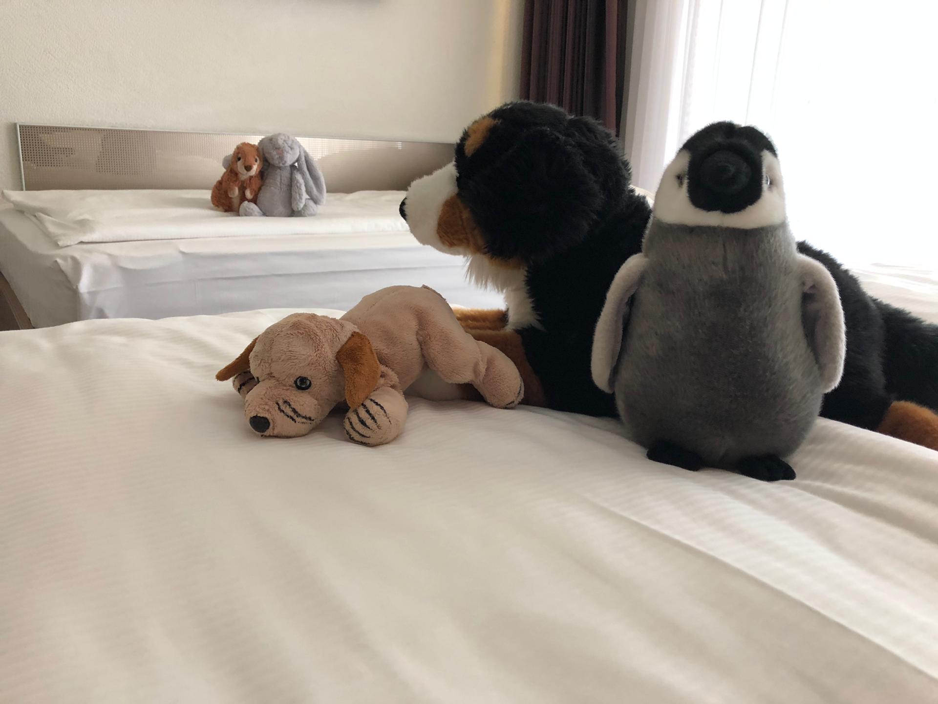 Family Room Standard