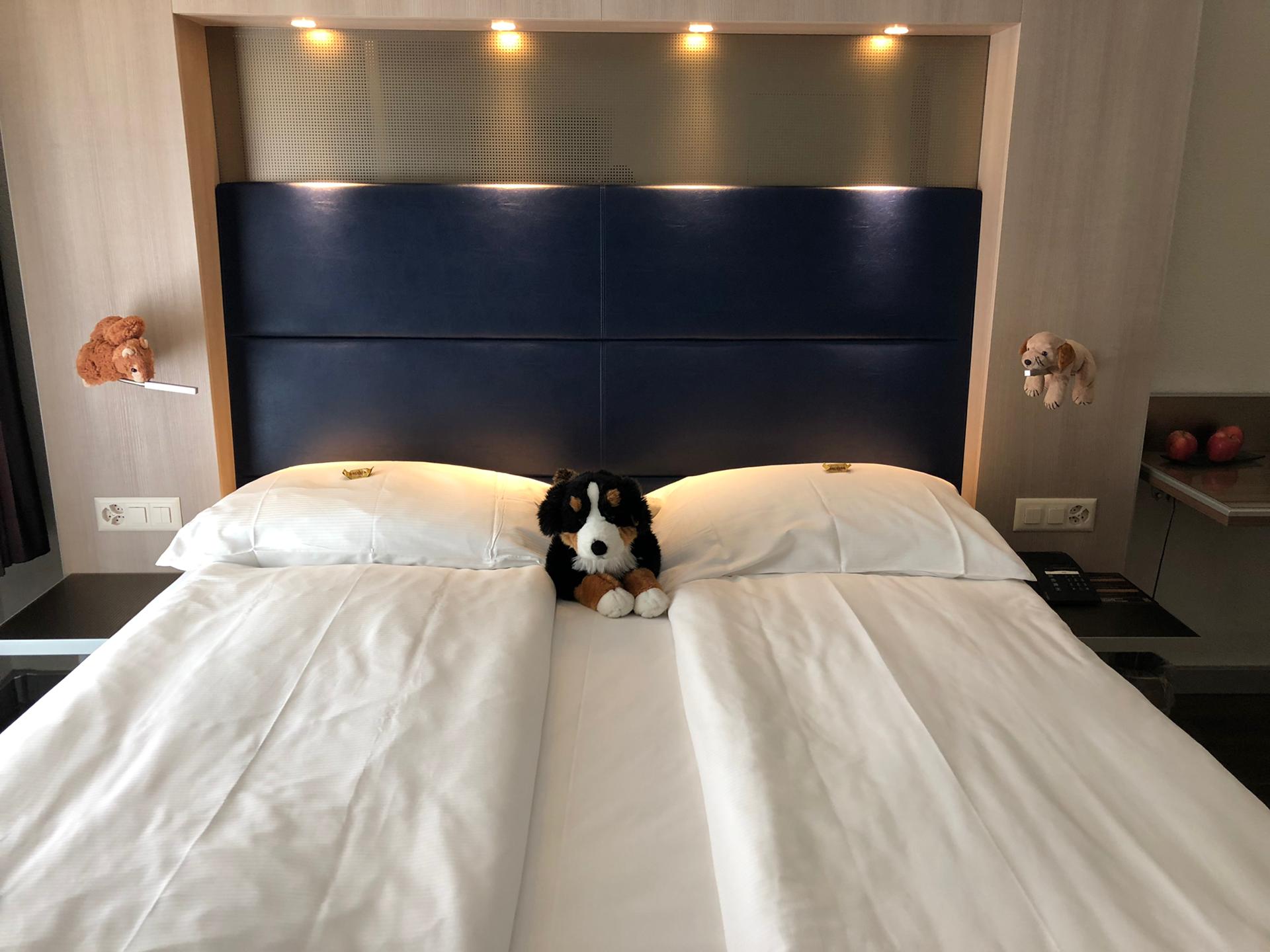 Family Room Standard