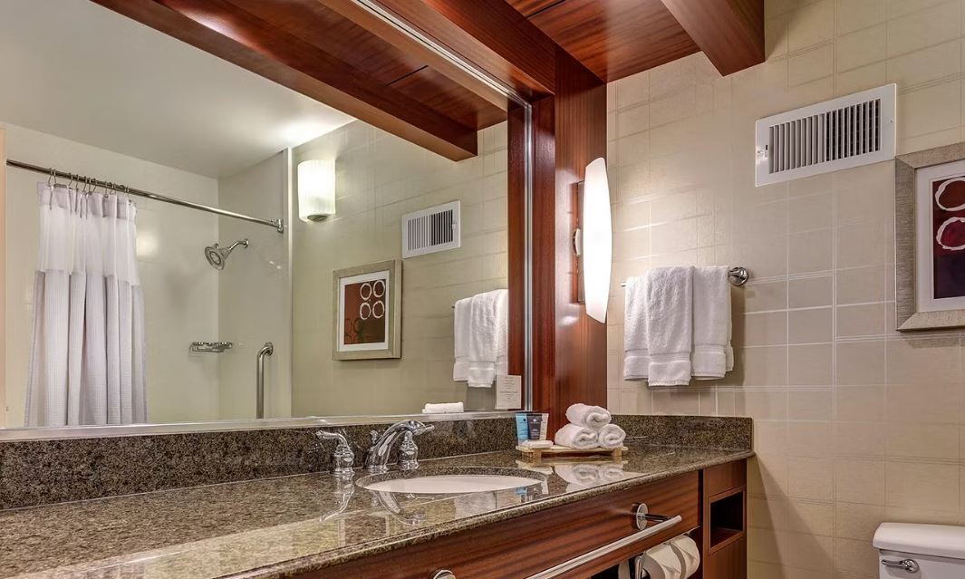 Suite King Bed One Bedroom 