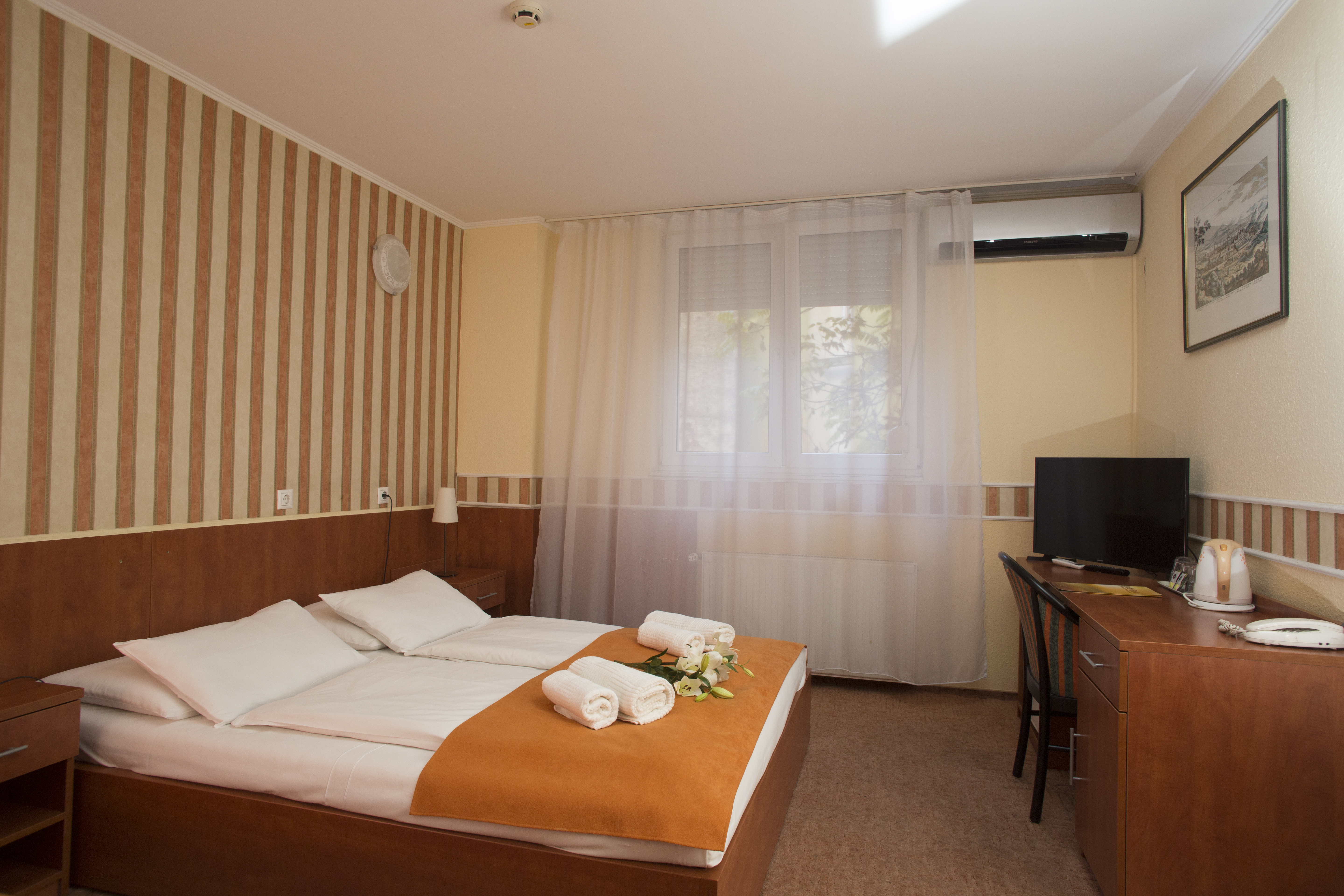 Double or Twin Standard