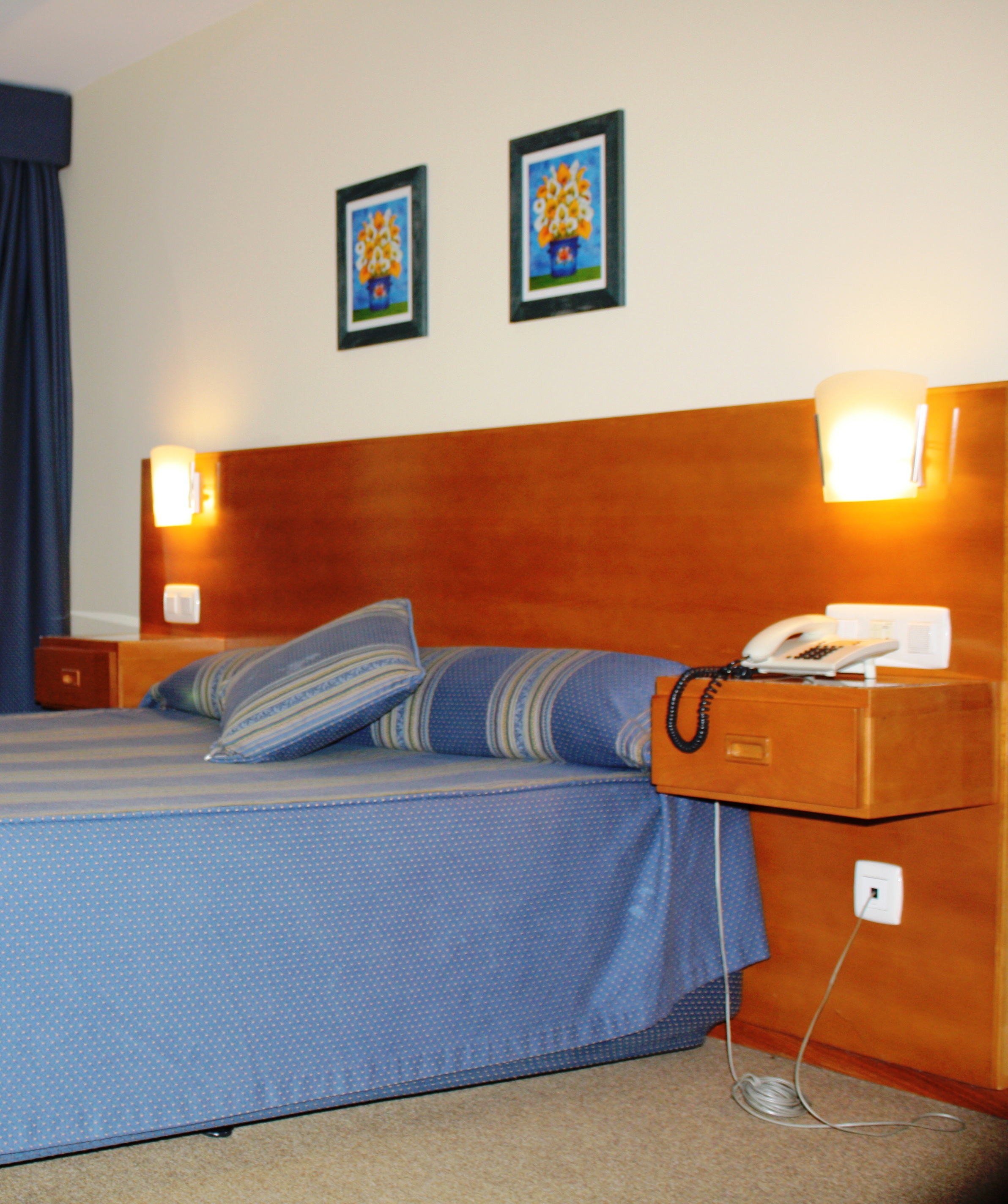 Double or Twin Standard