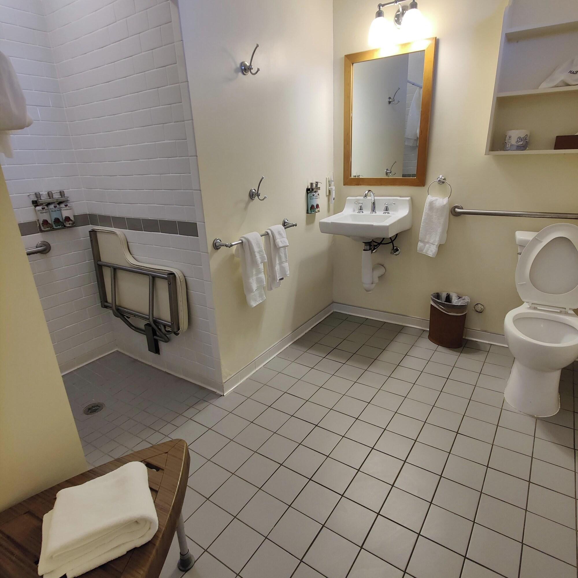 Double Accessible King Size Bed