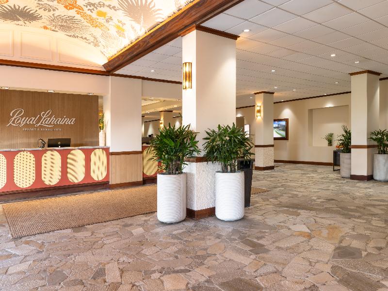 Suite Ocean Front