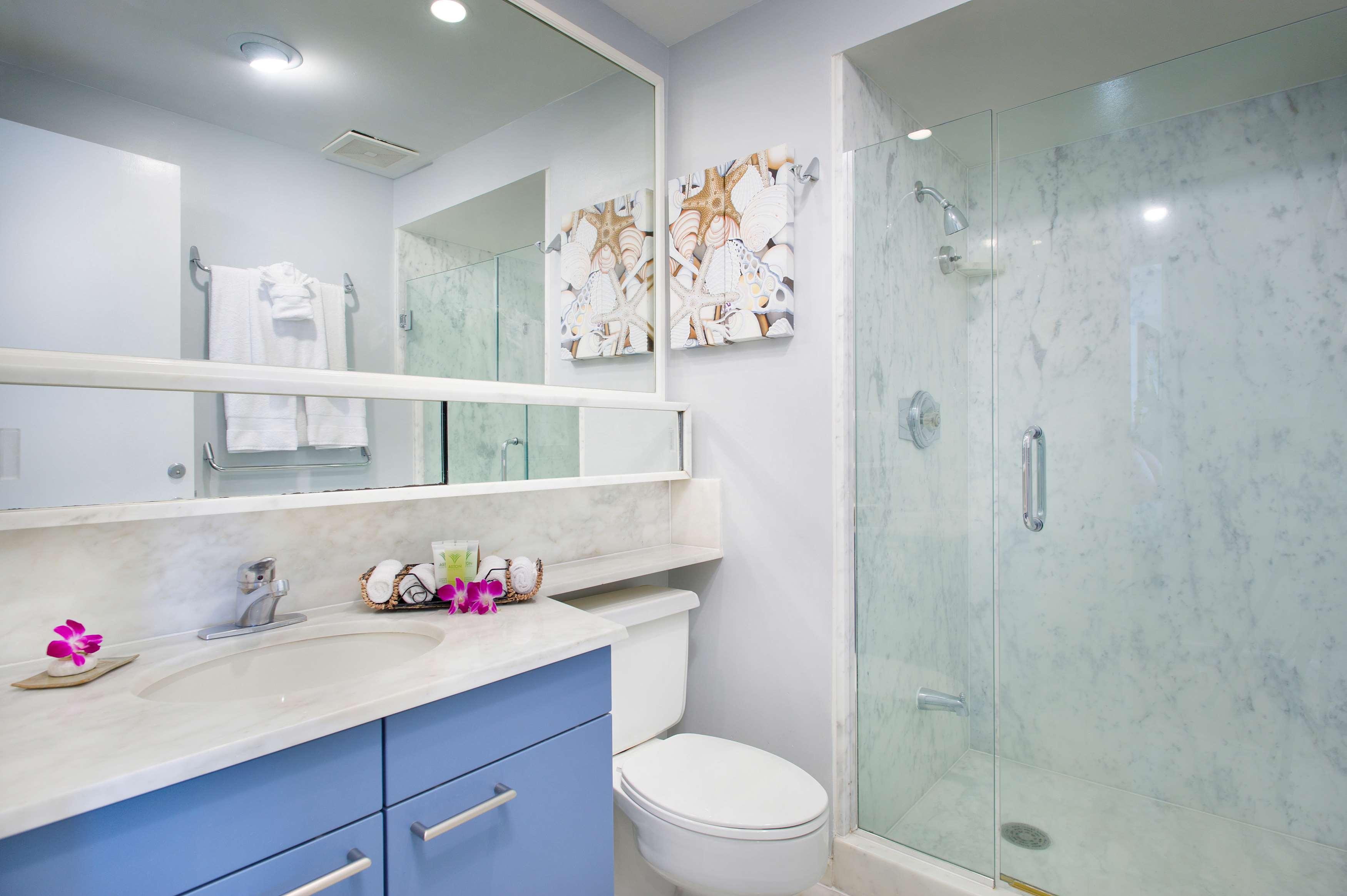 Studio Guest Room Garden View