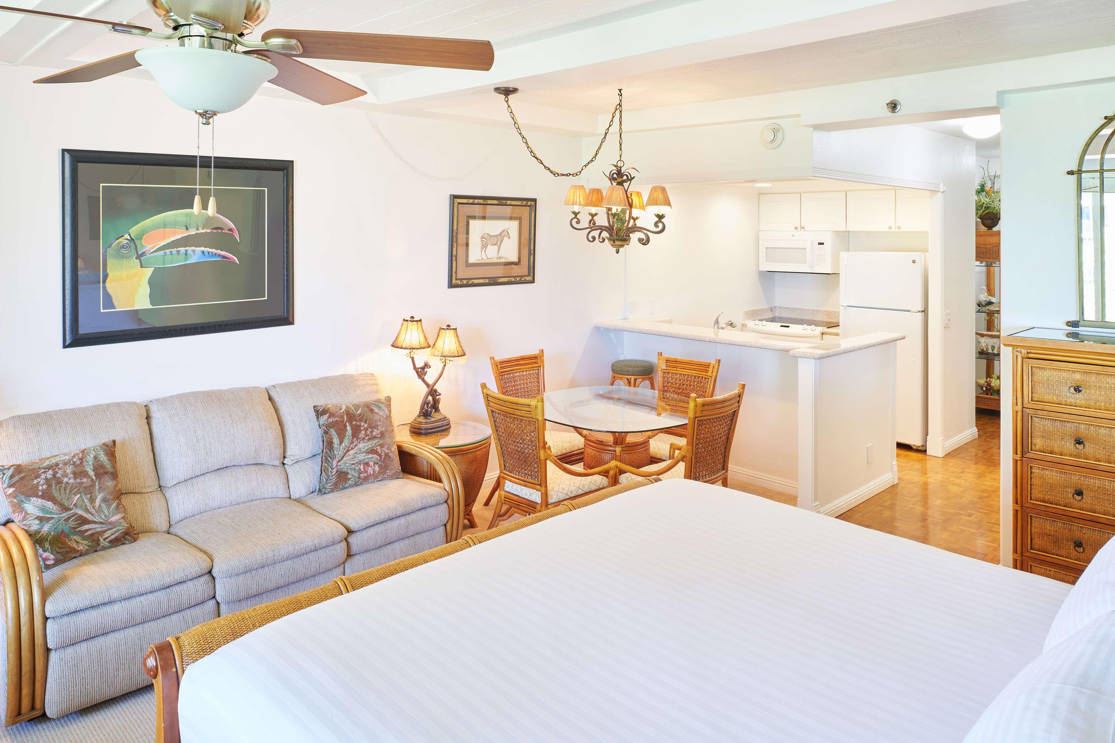 Studio Guest Room Garden View