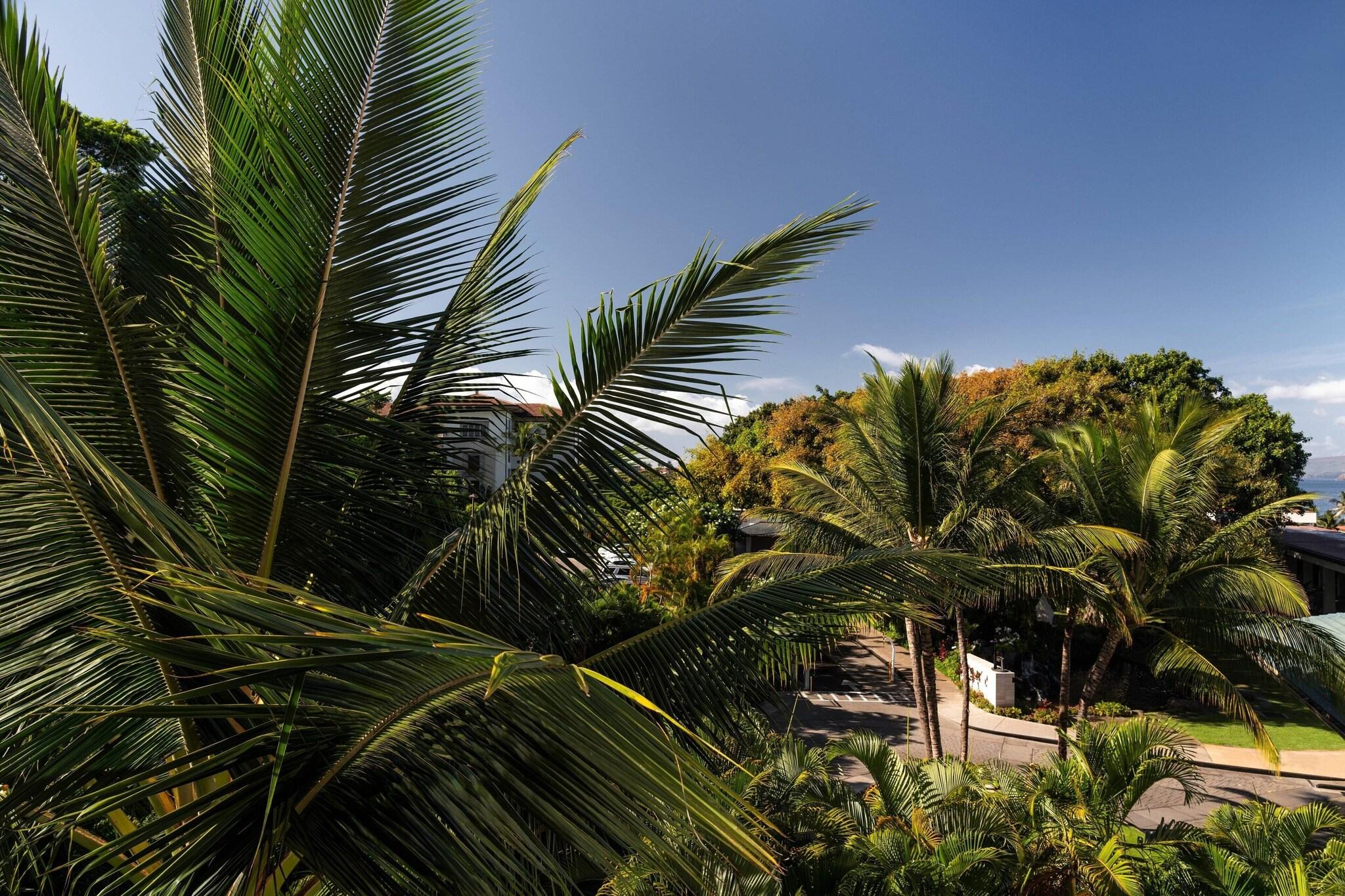 Double Garden View King Bed