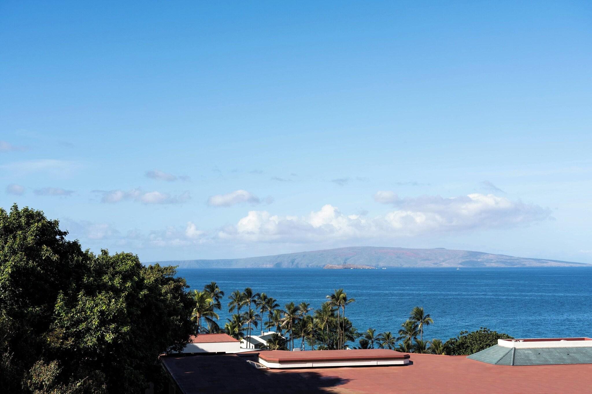 Double Premium King Bed