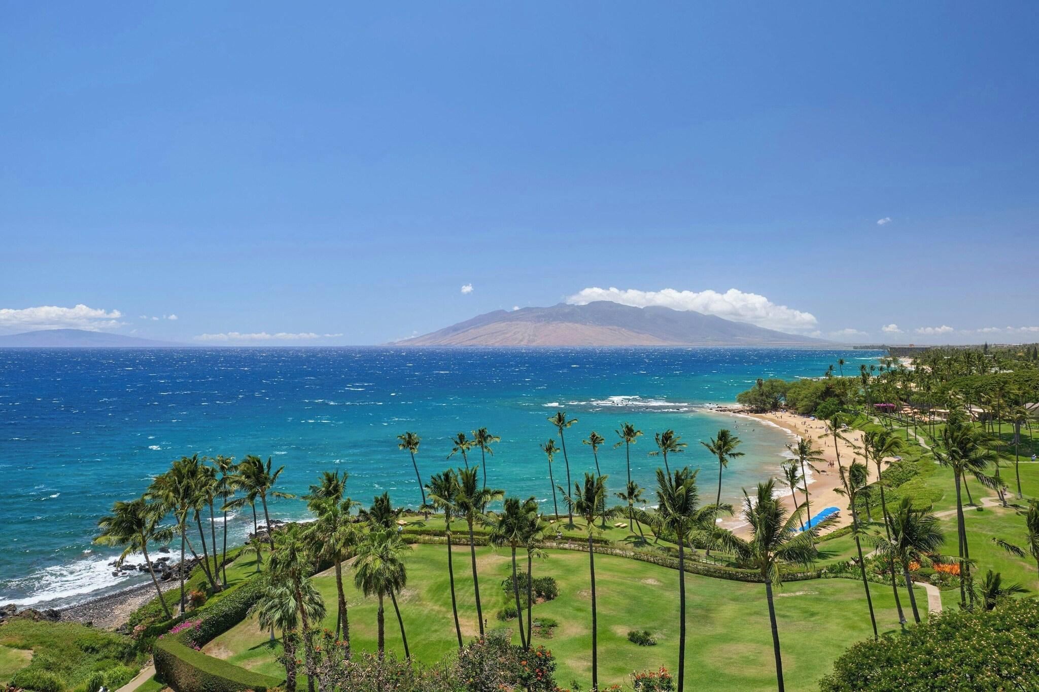 Suite Premium with Views