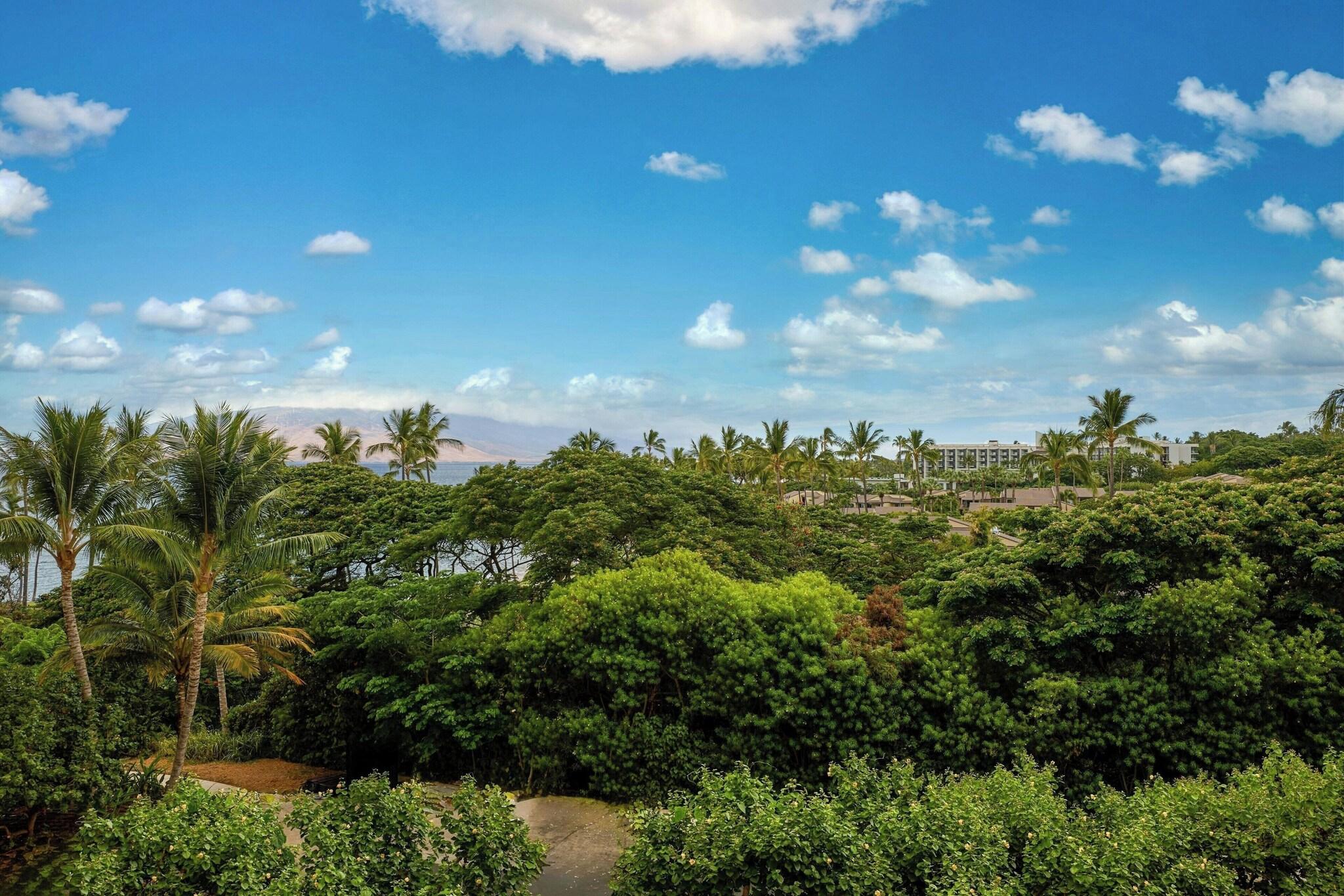 Junior Suite Garden View King Bed