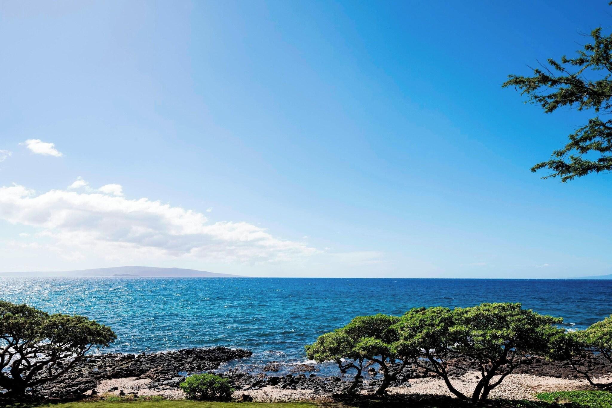 Suite Ocean Front with Balcony