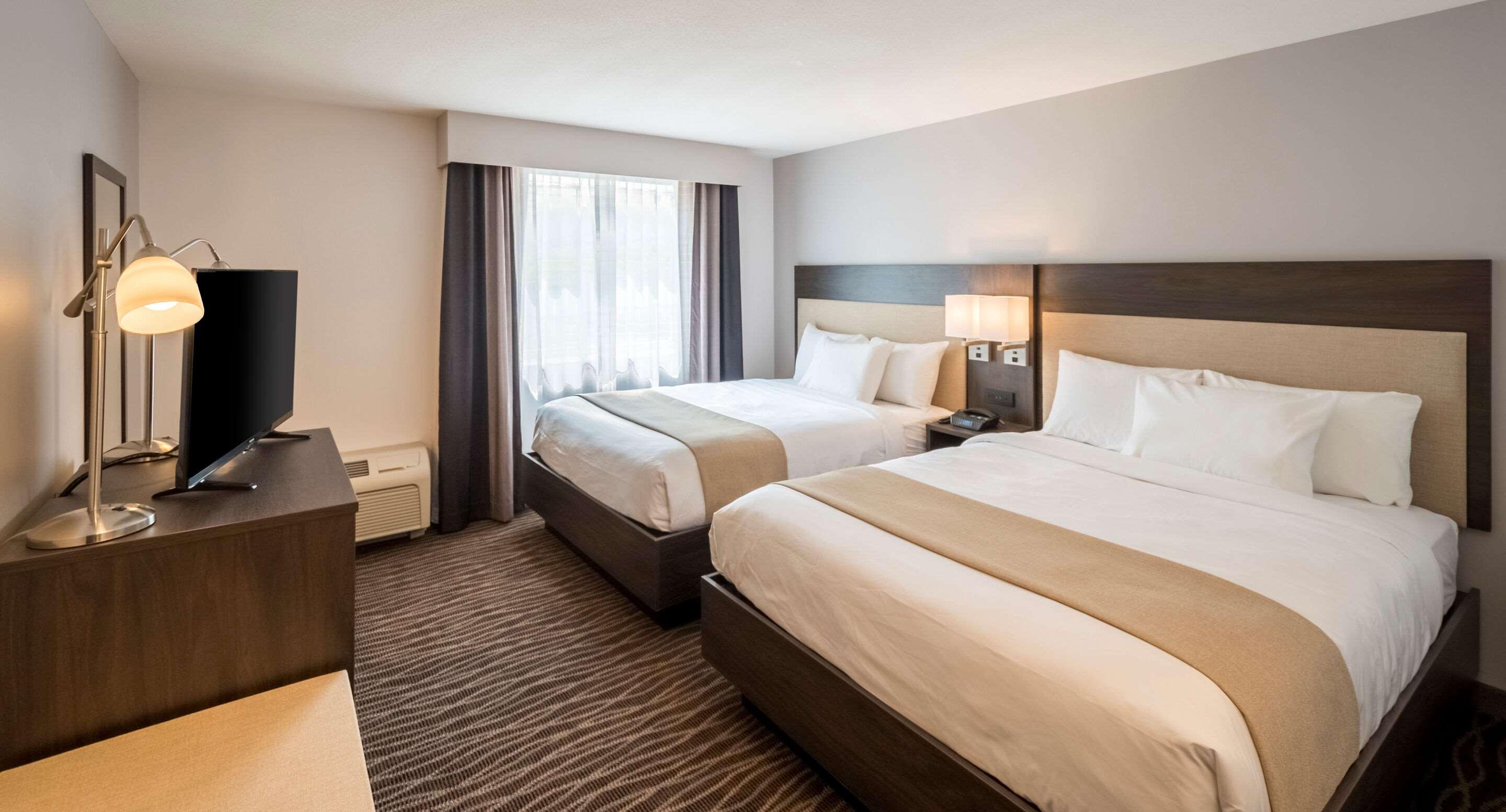 Room Accessible-two Queen Beds