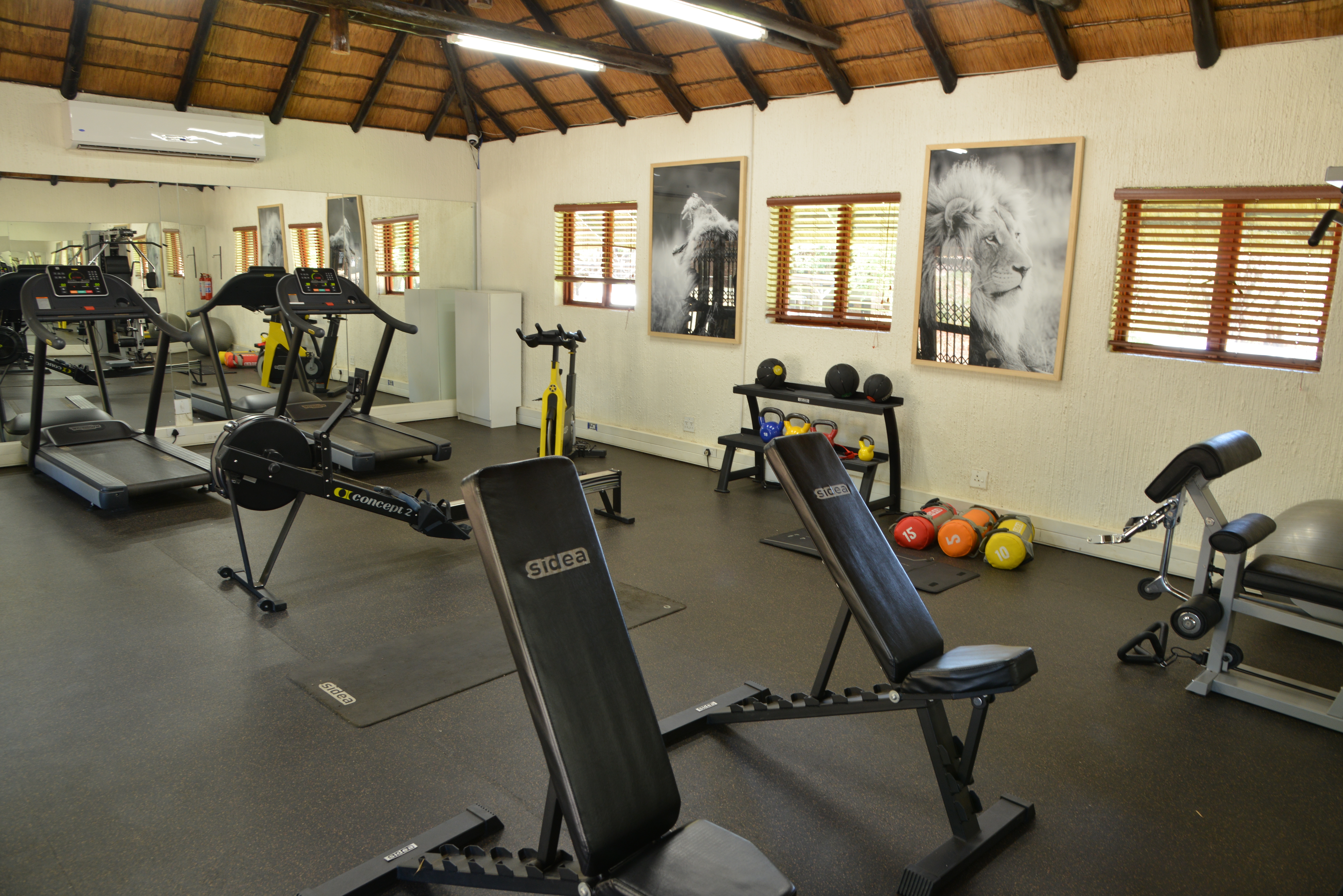 Sports and Entertainment