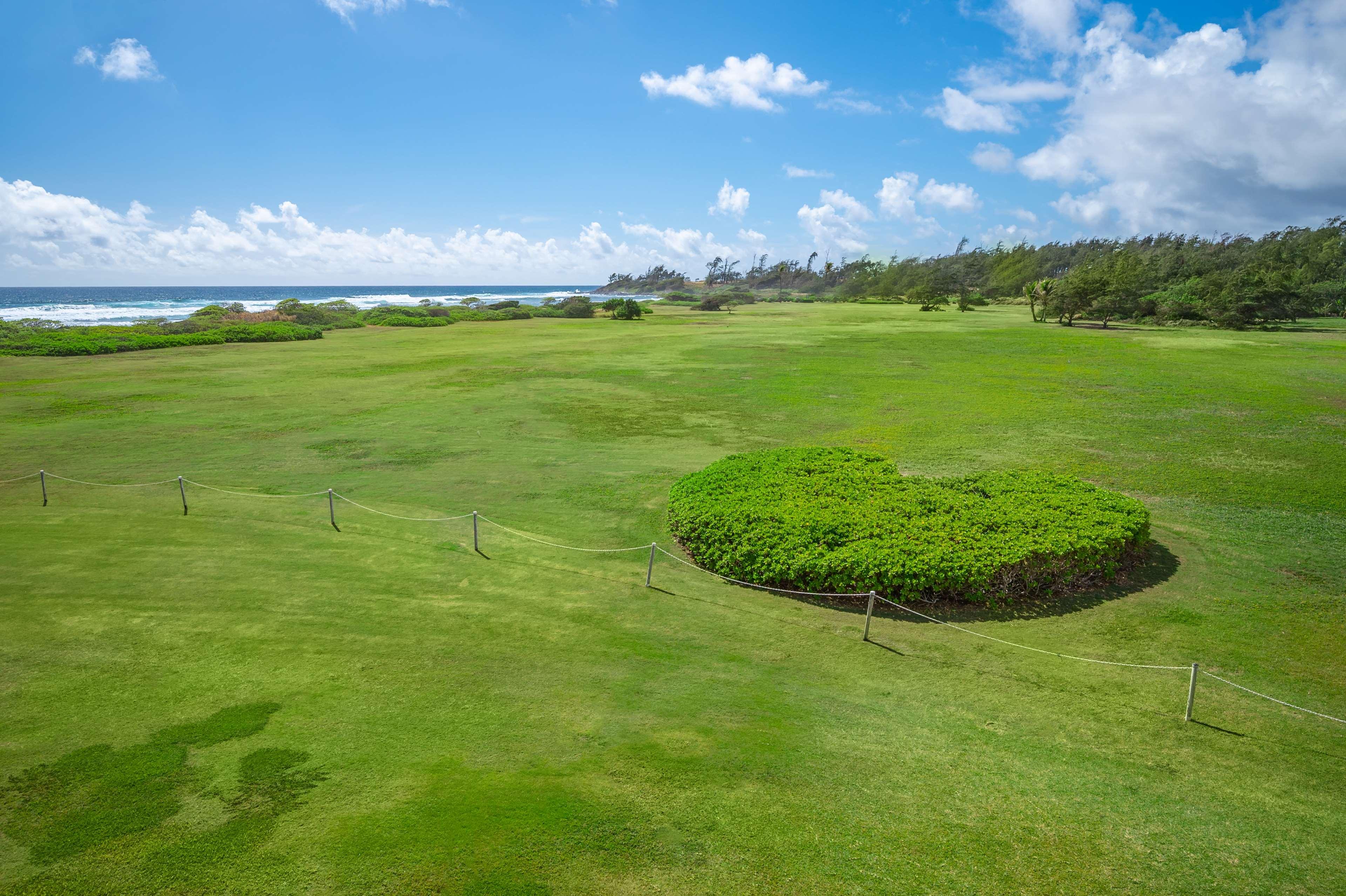Room Partial Ocean View