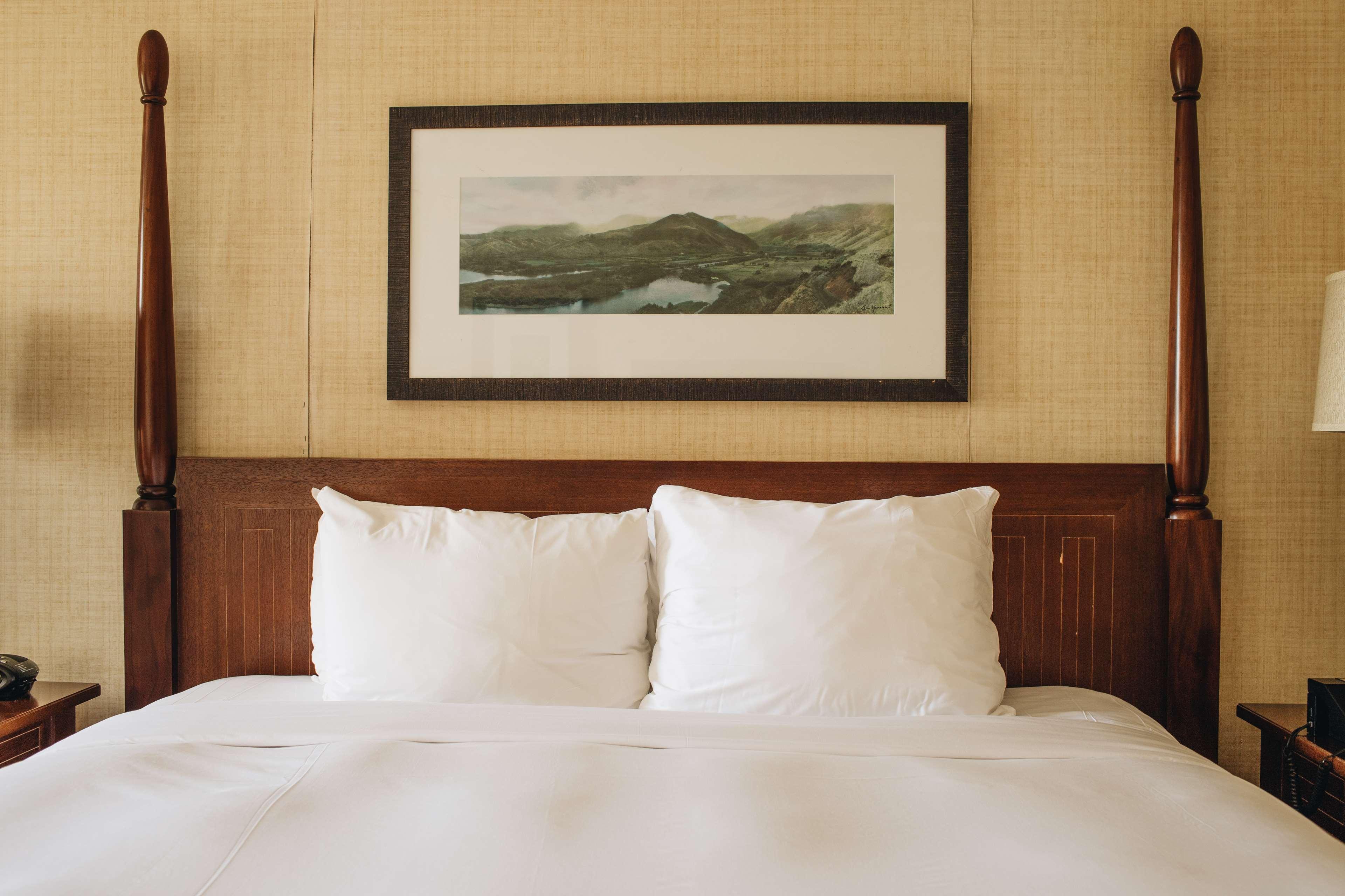 Room Partial Ocean View King Bed