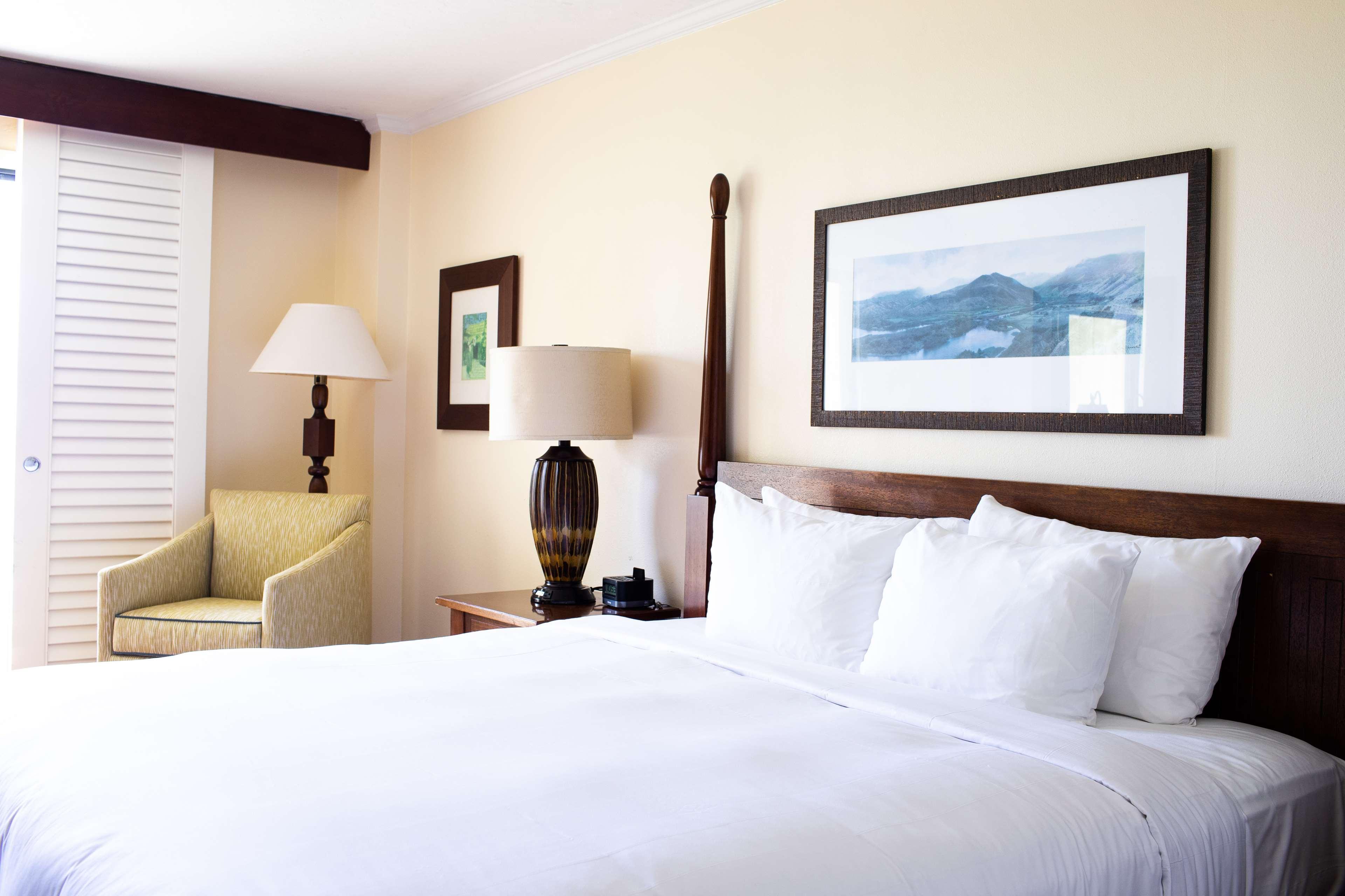 Room Ocean Front King Bed