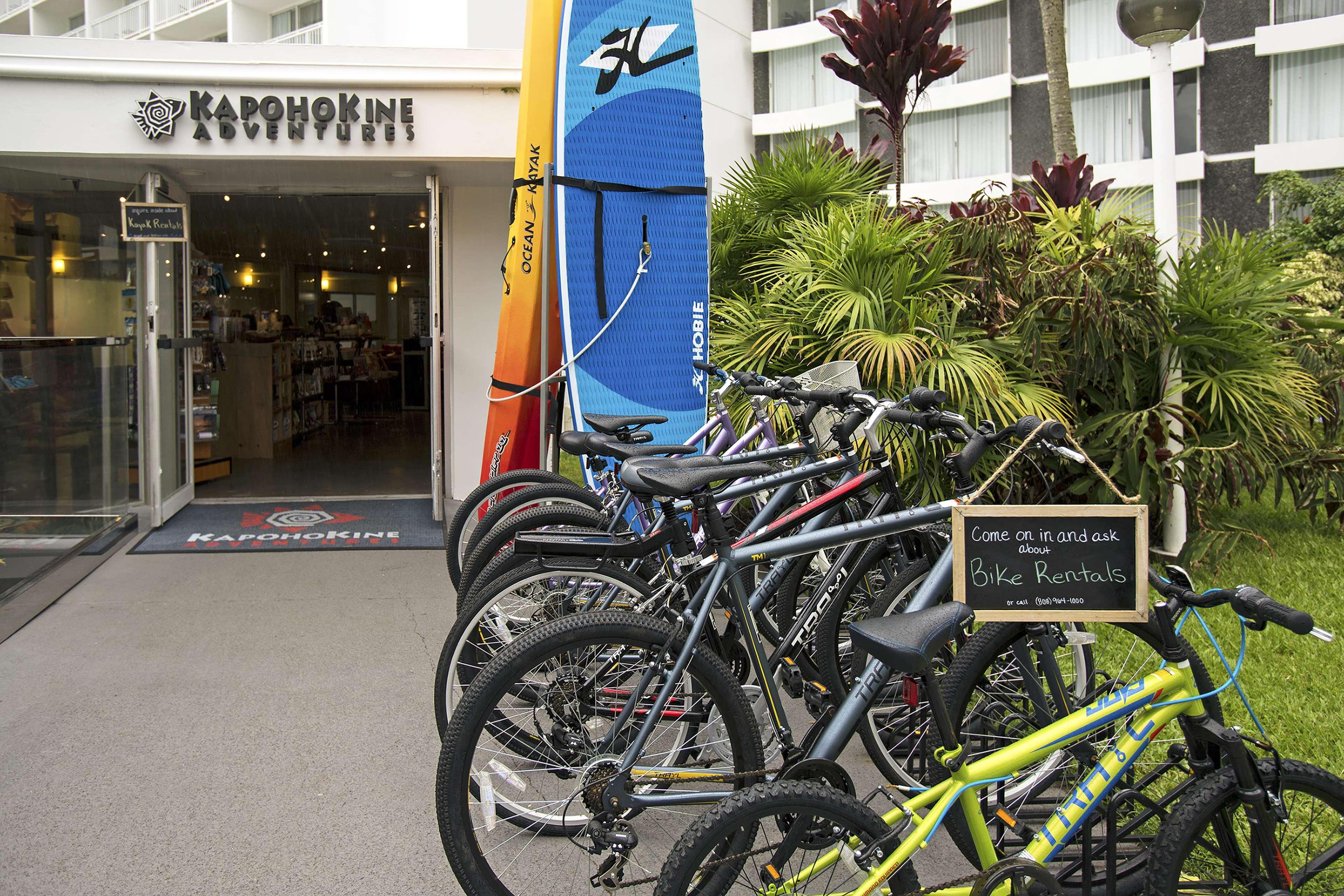 Sports and Entertainment