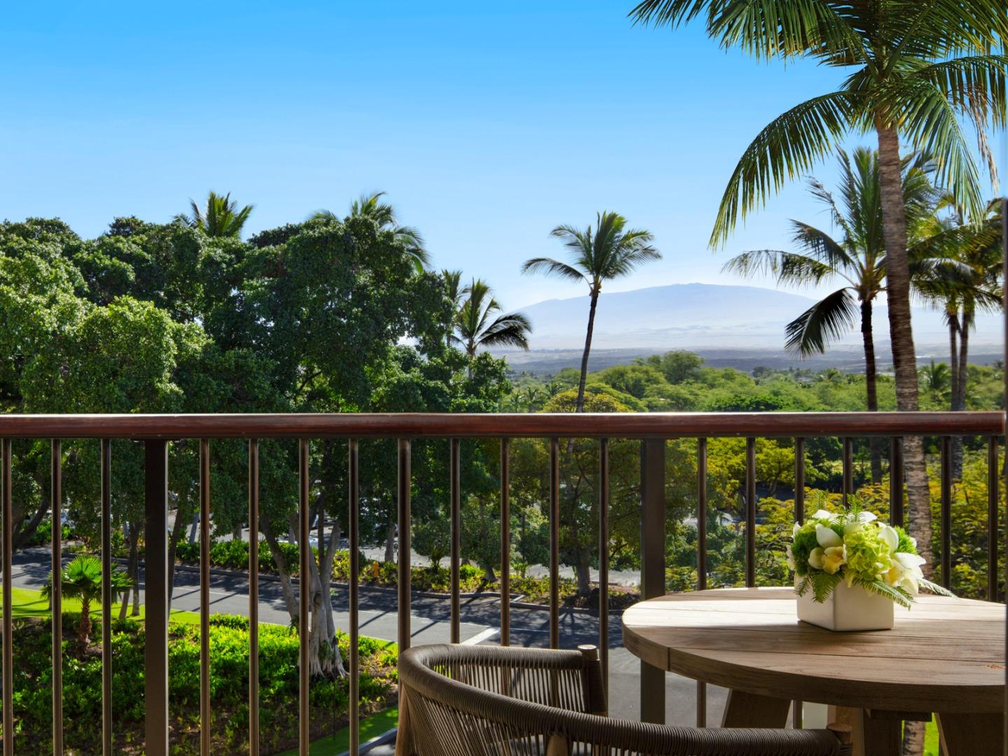 Double Mountain View