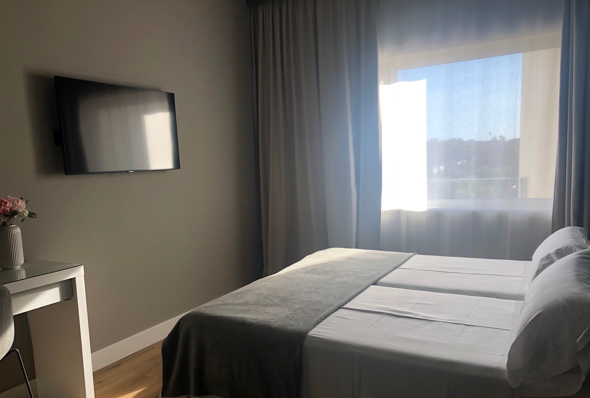 Double or Twin Standard