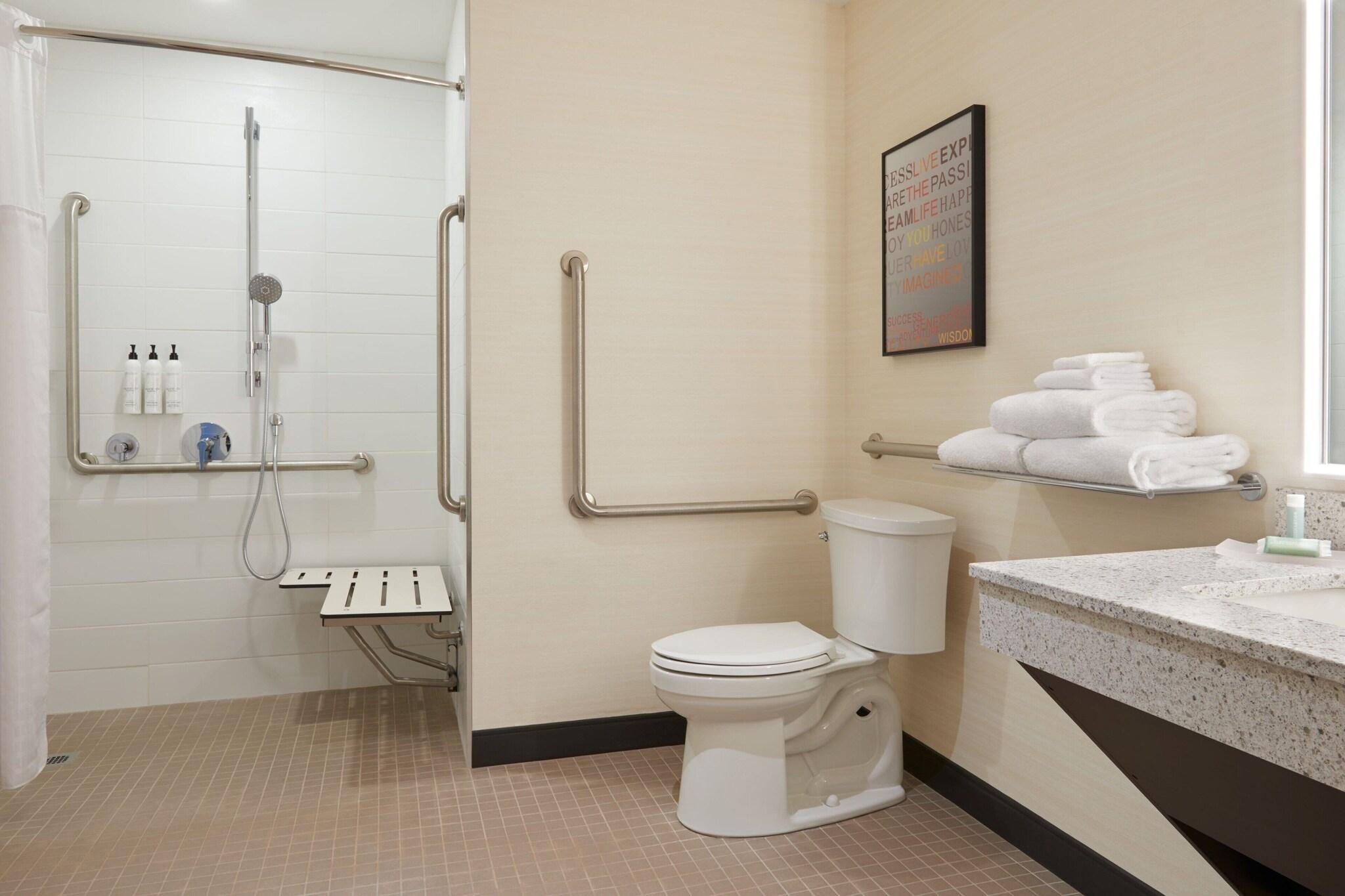 Suite King Bed One Bedroom 