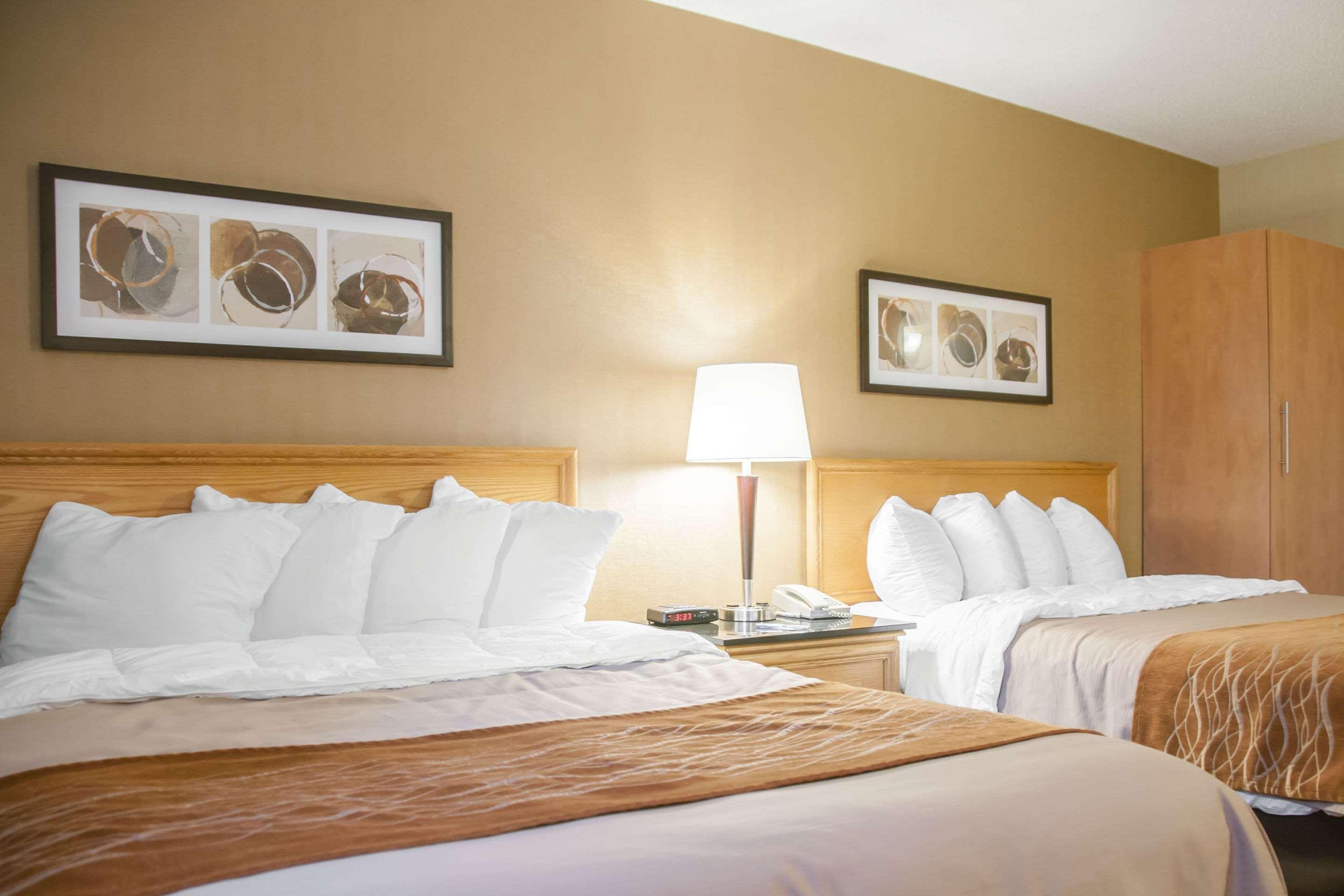 Quadruple Two Queen Beds