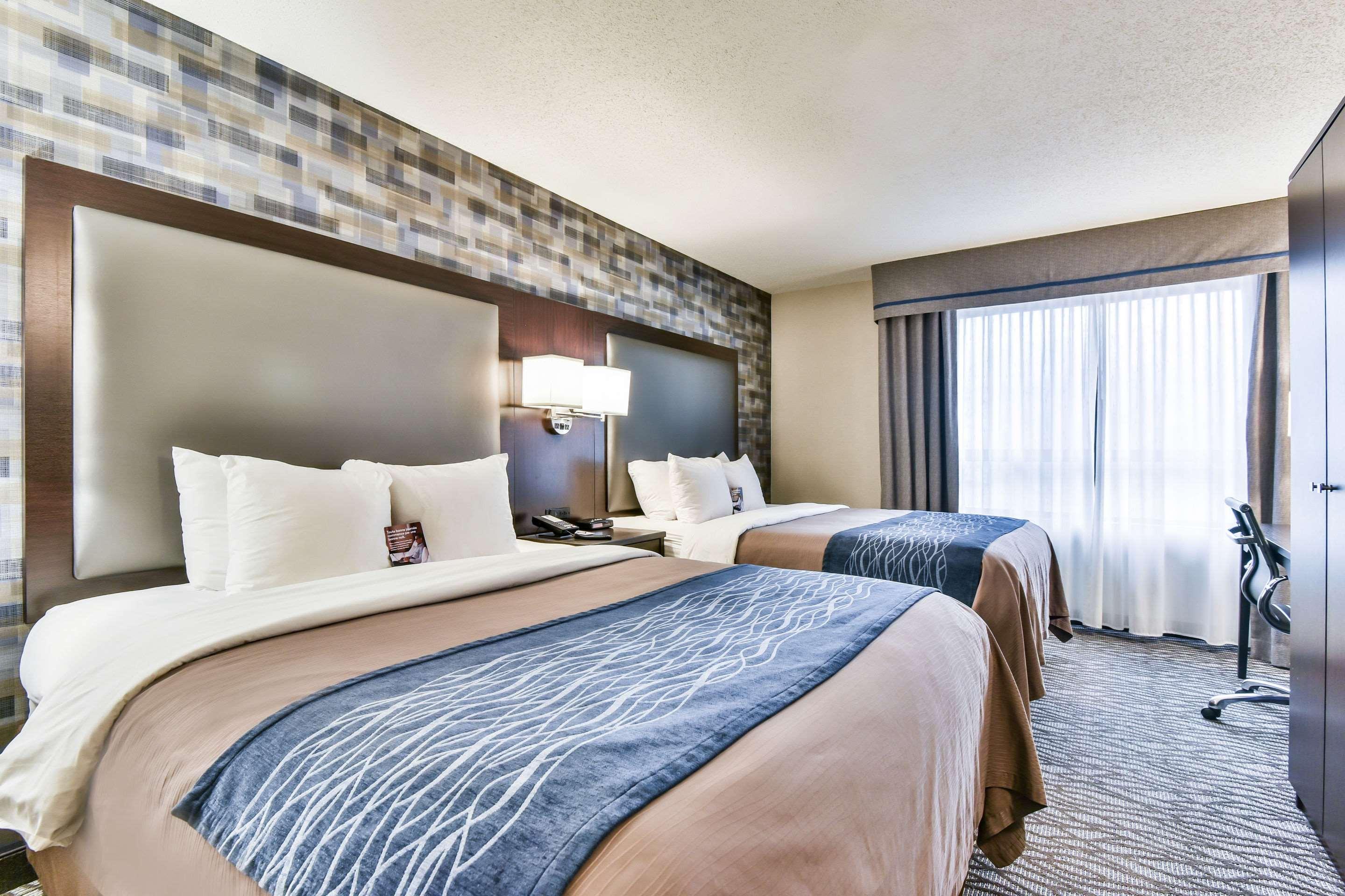 Quadruple Two Queen Beds