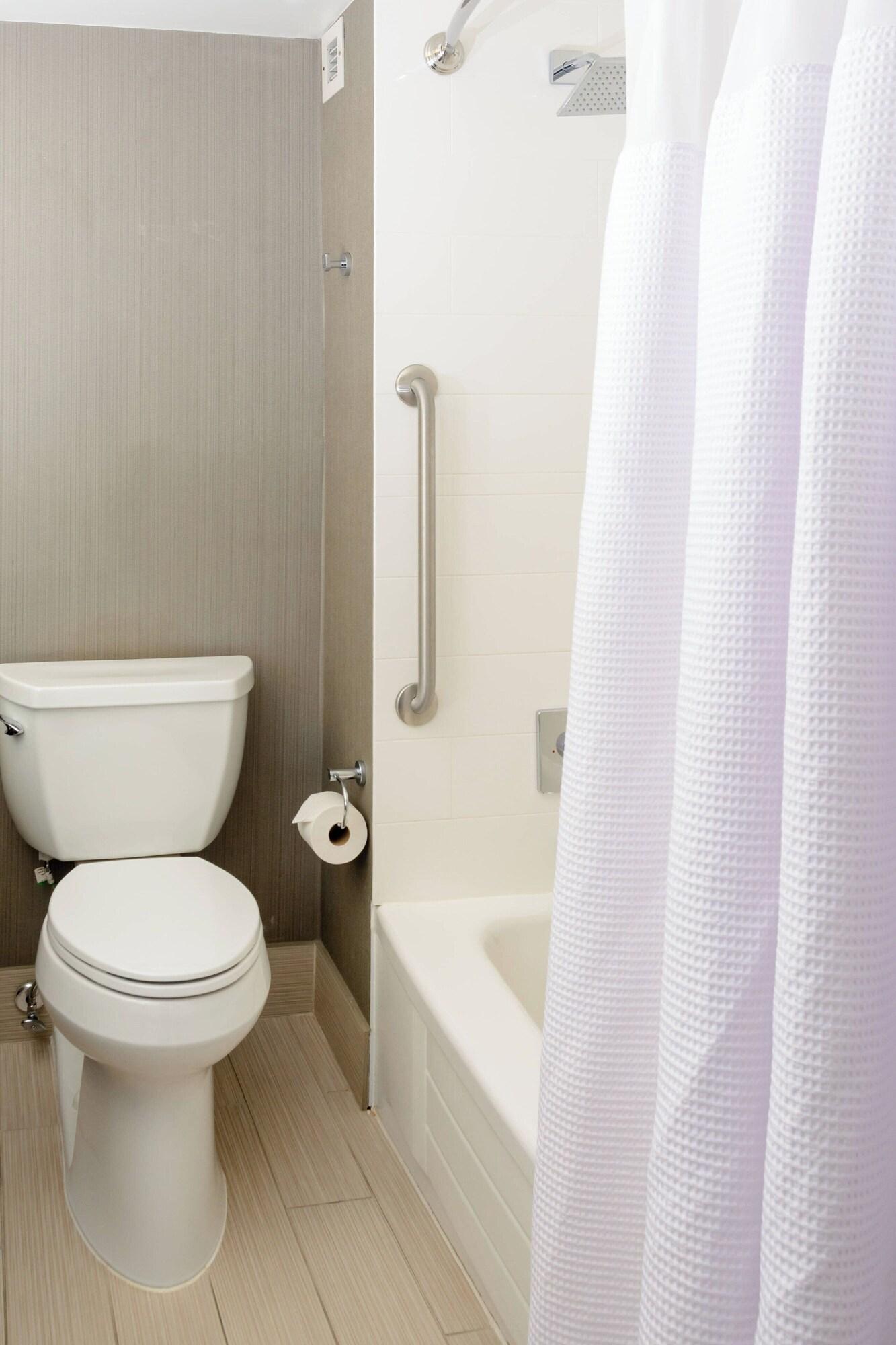 Suite King Bed One Bedroom 