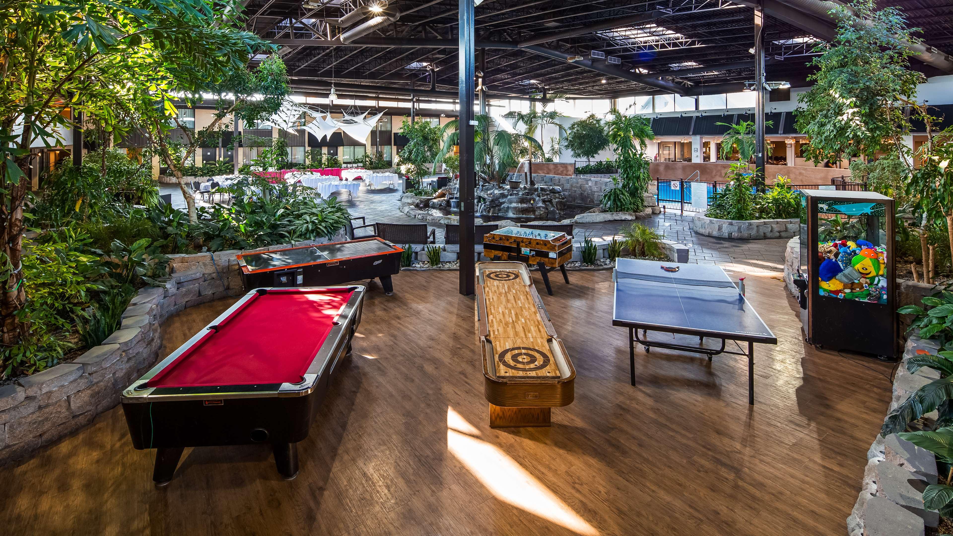 Sports and Entertainment