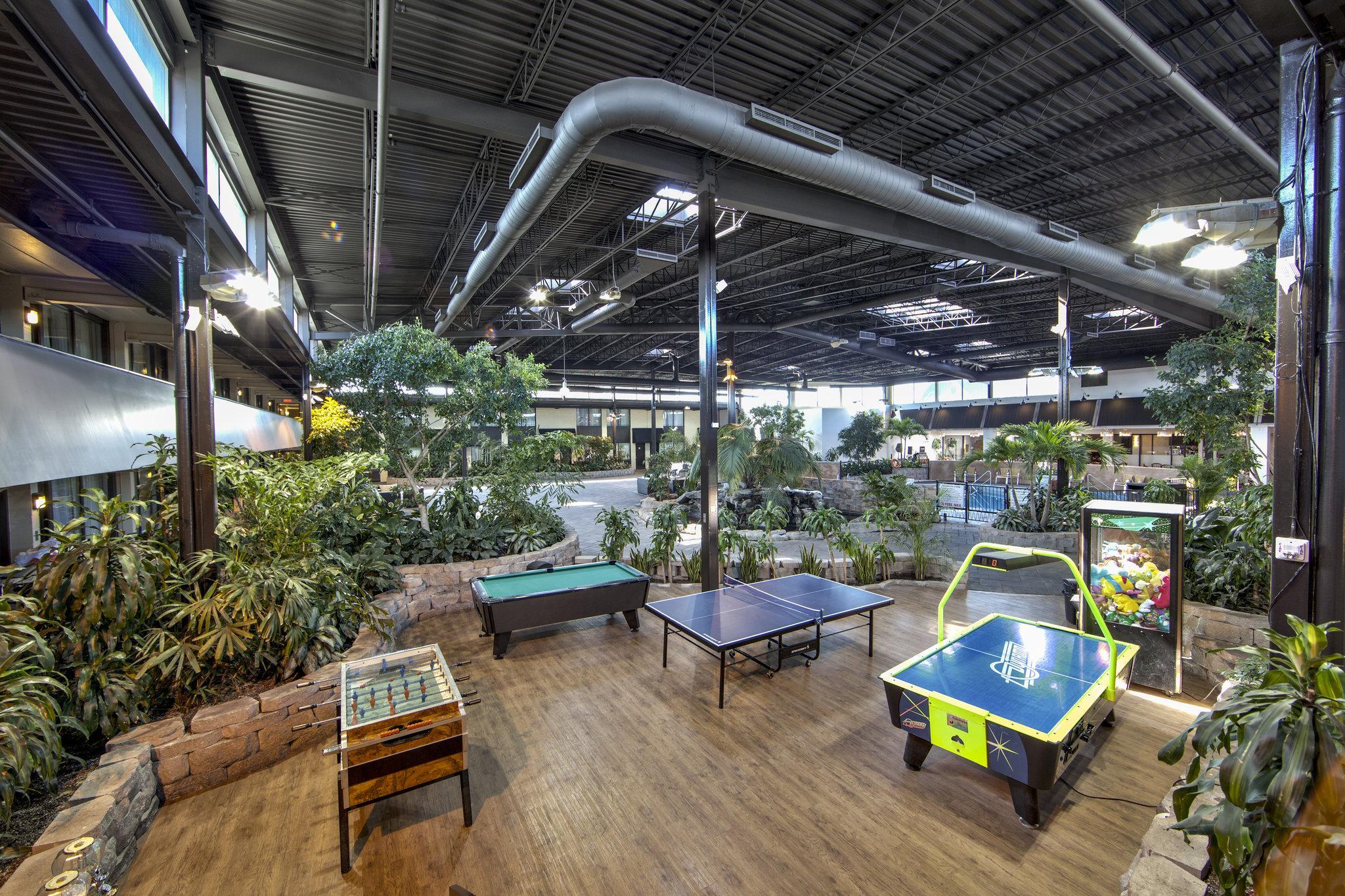 Sports and Entertainment