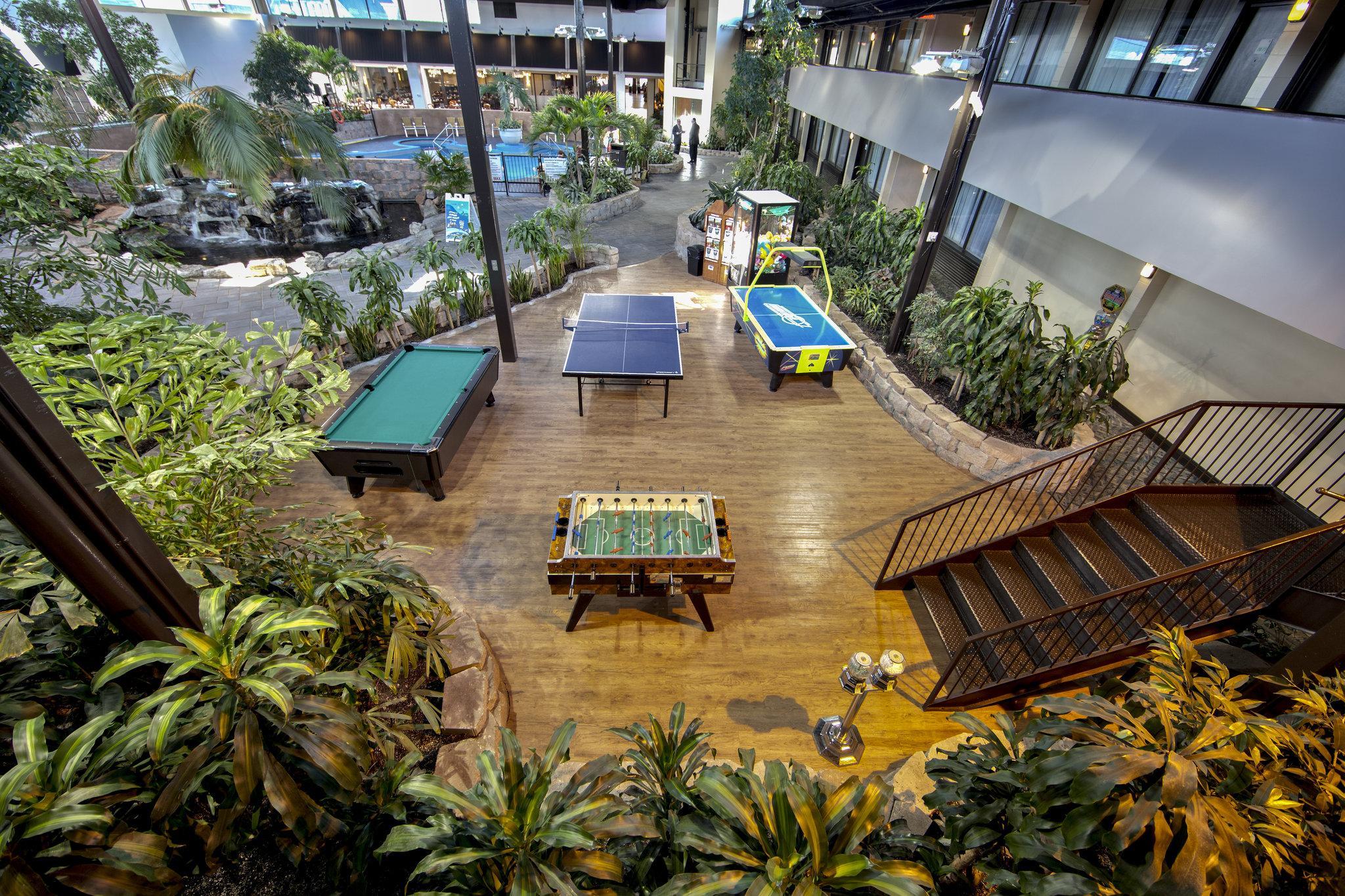 Sports and Entertainment