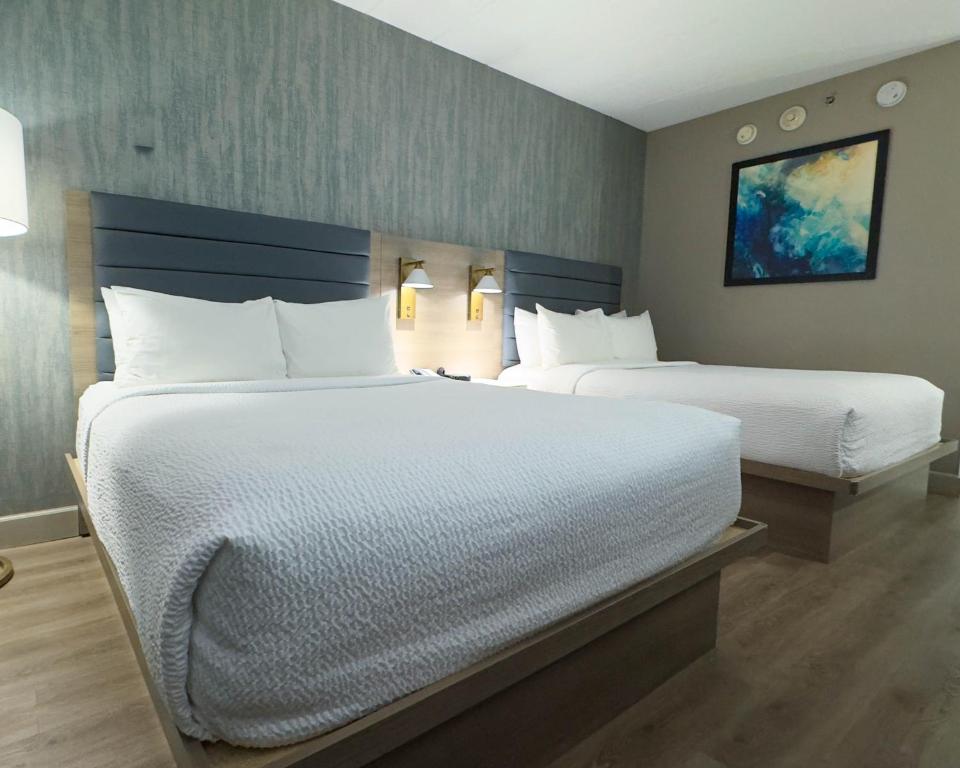 Room Two Double Beds