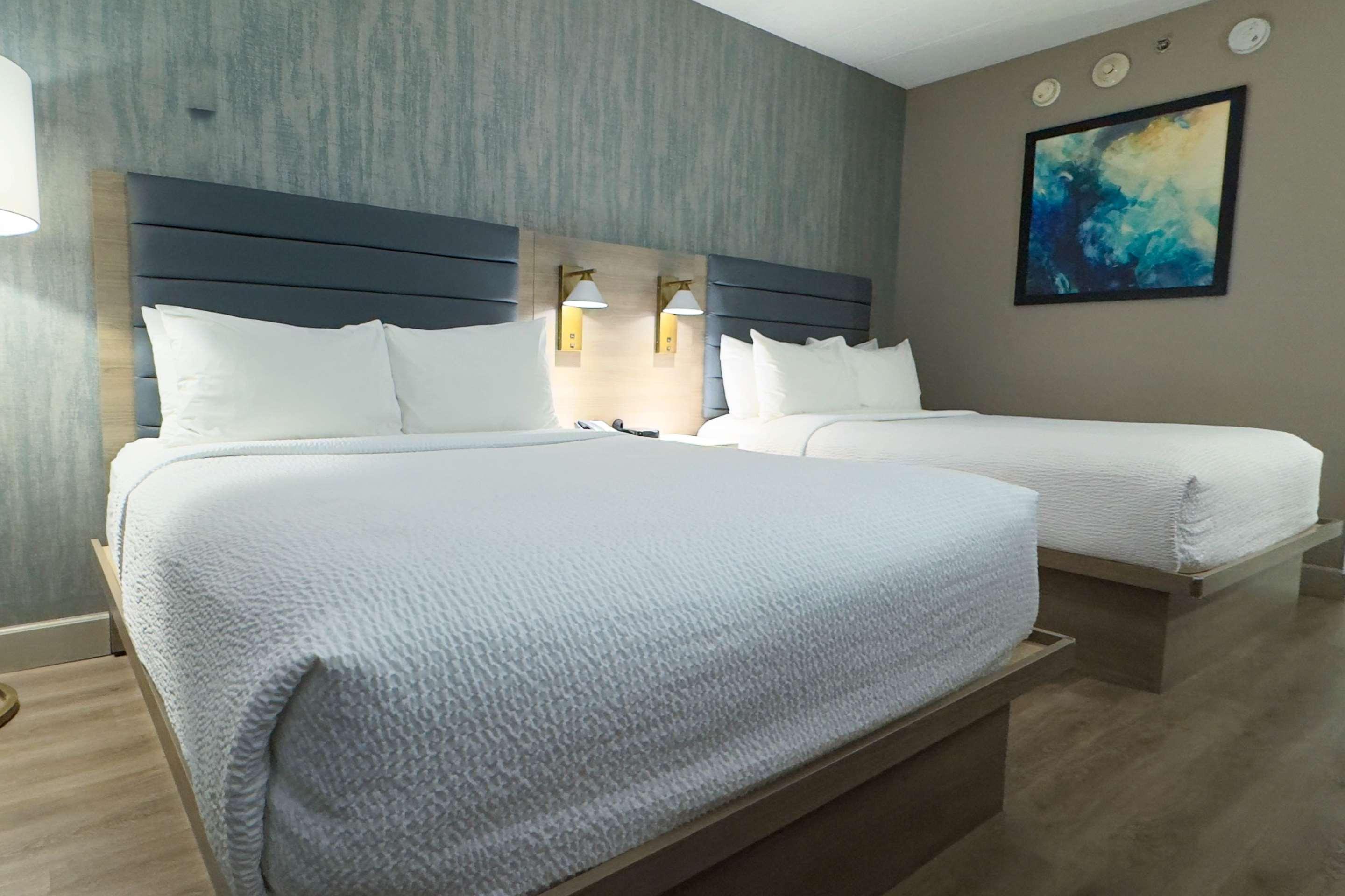 Room Two Double Beds