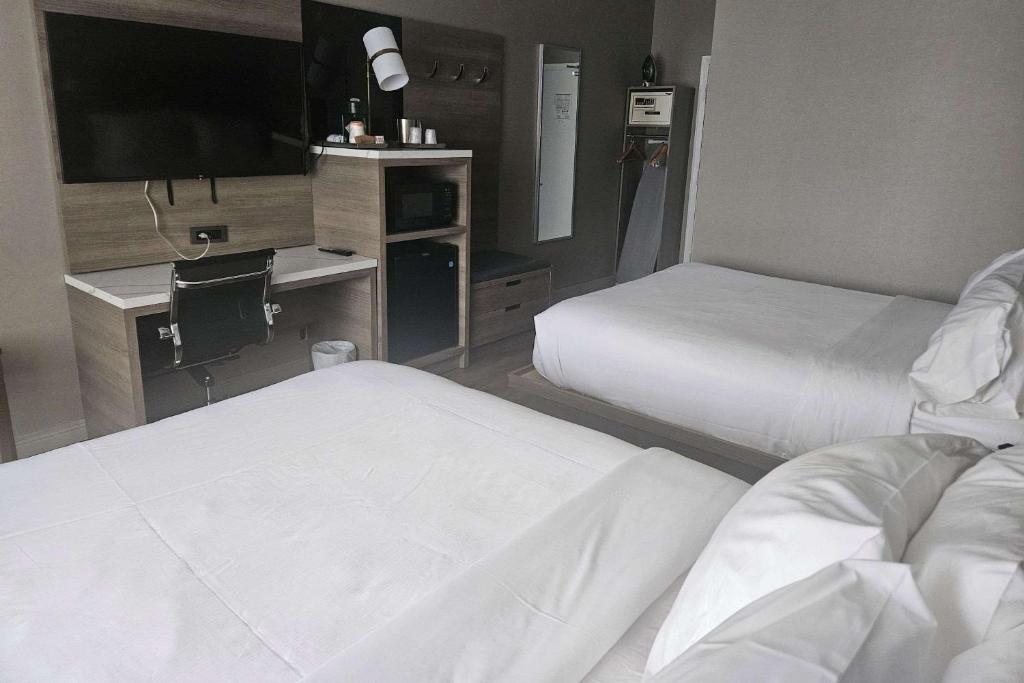 Suite Two Double Beds