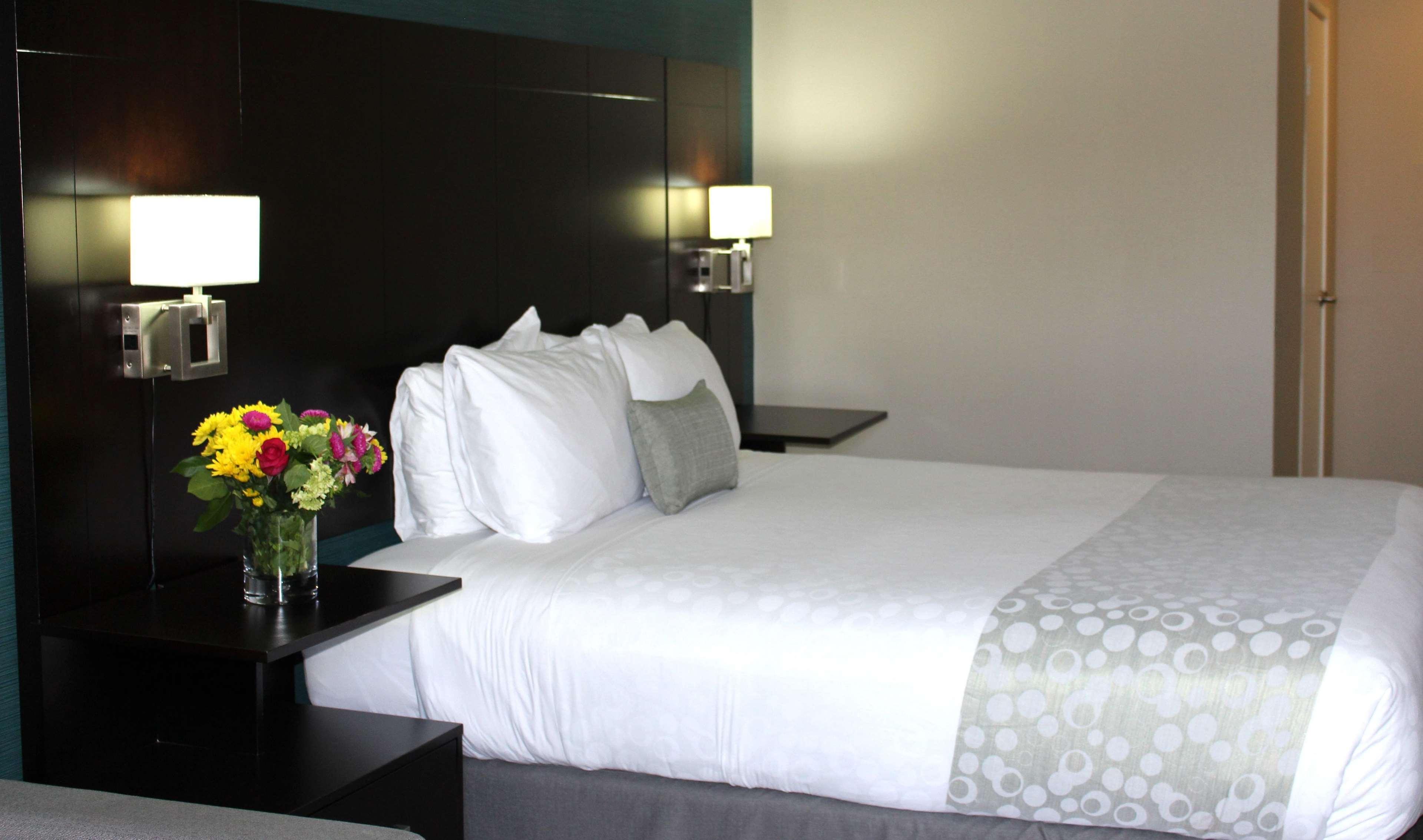 Room King Bed Non Smoking