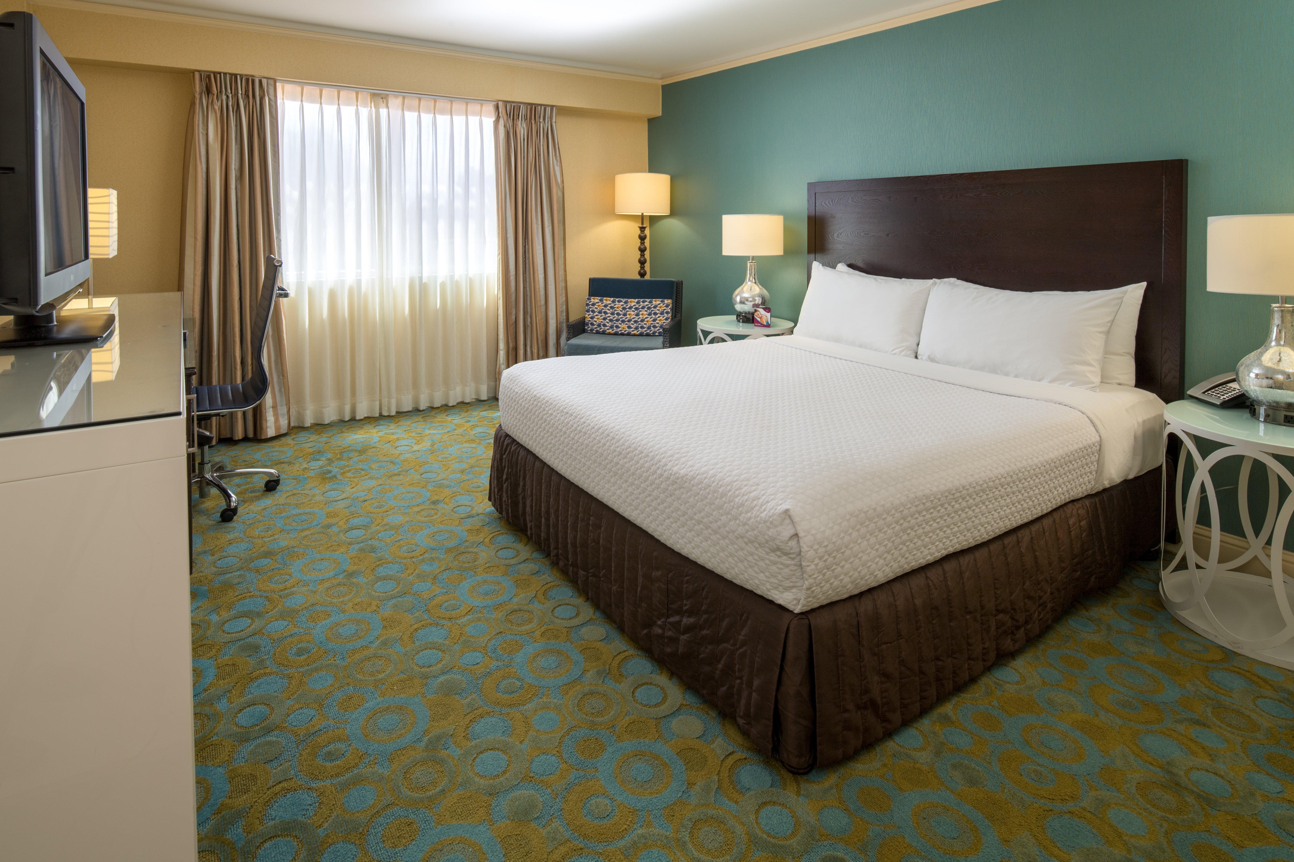 Room Accessible King Size Bed