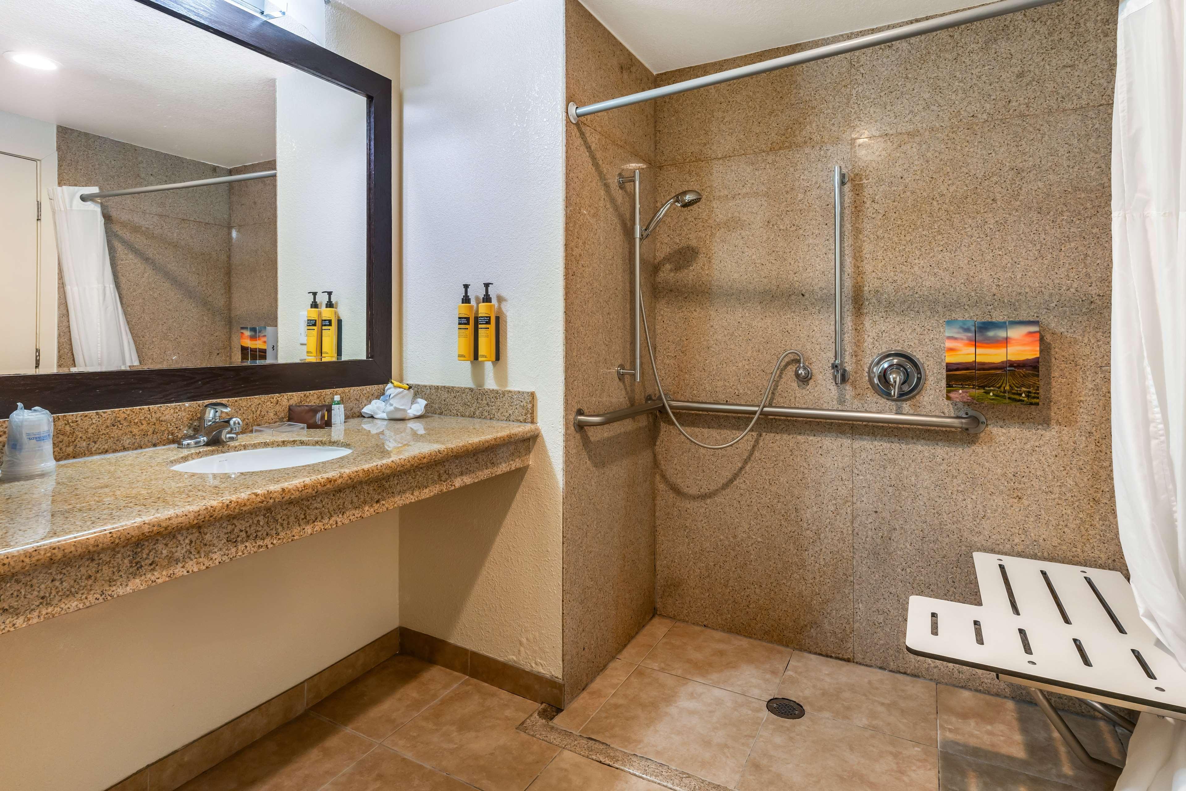 Suite Accessible King Size Bed