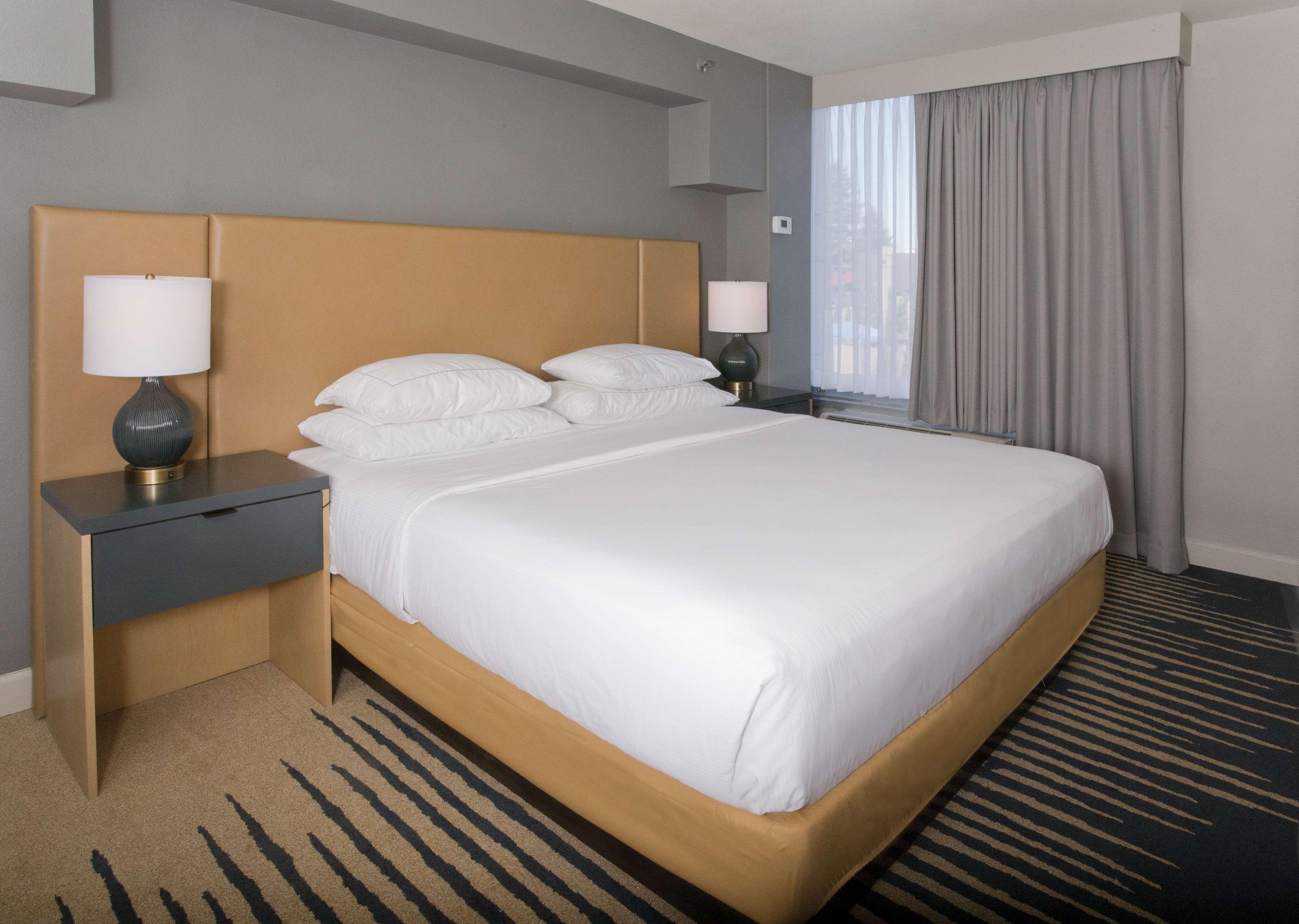 Suite King Bed One Bedroom 