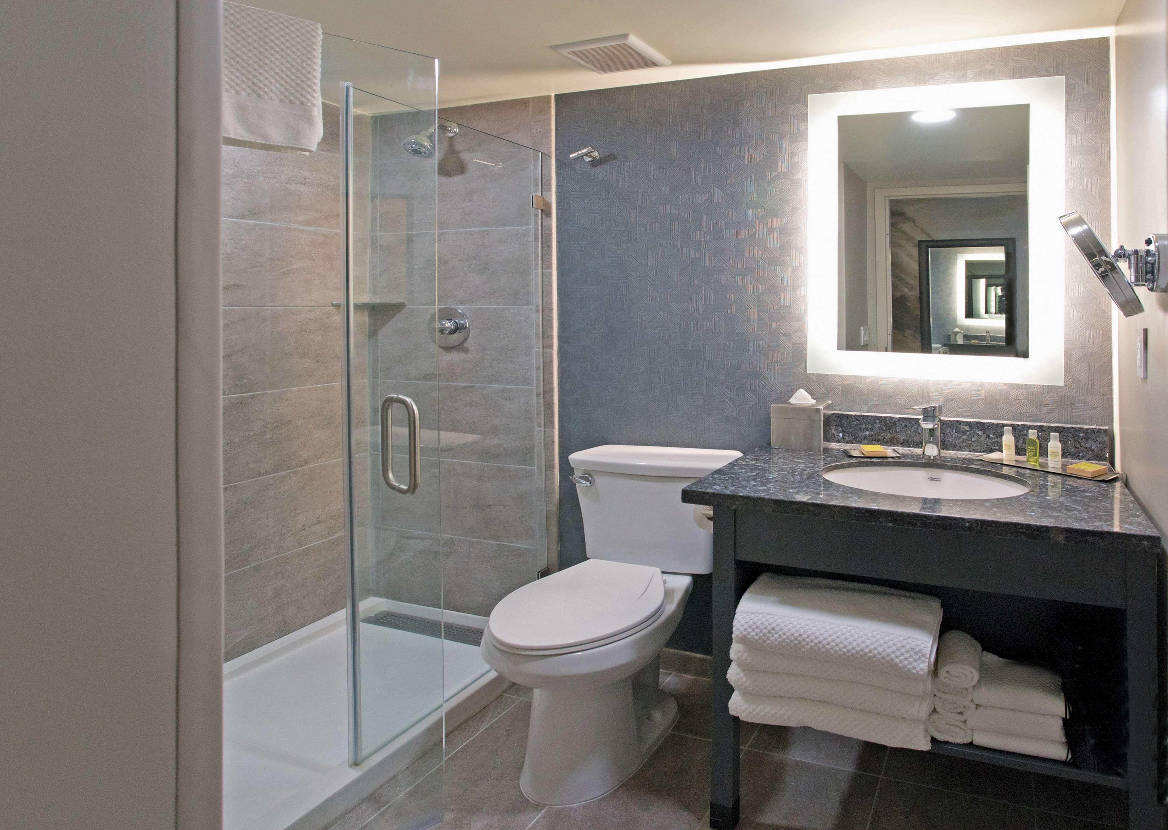 Suite King Bed One Bedroom 