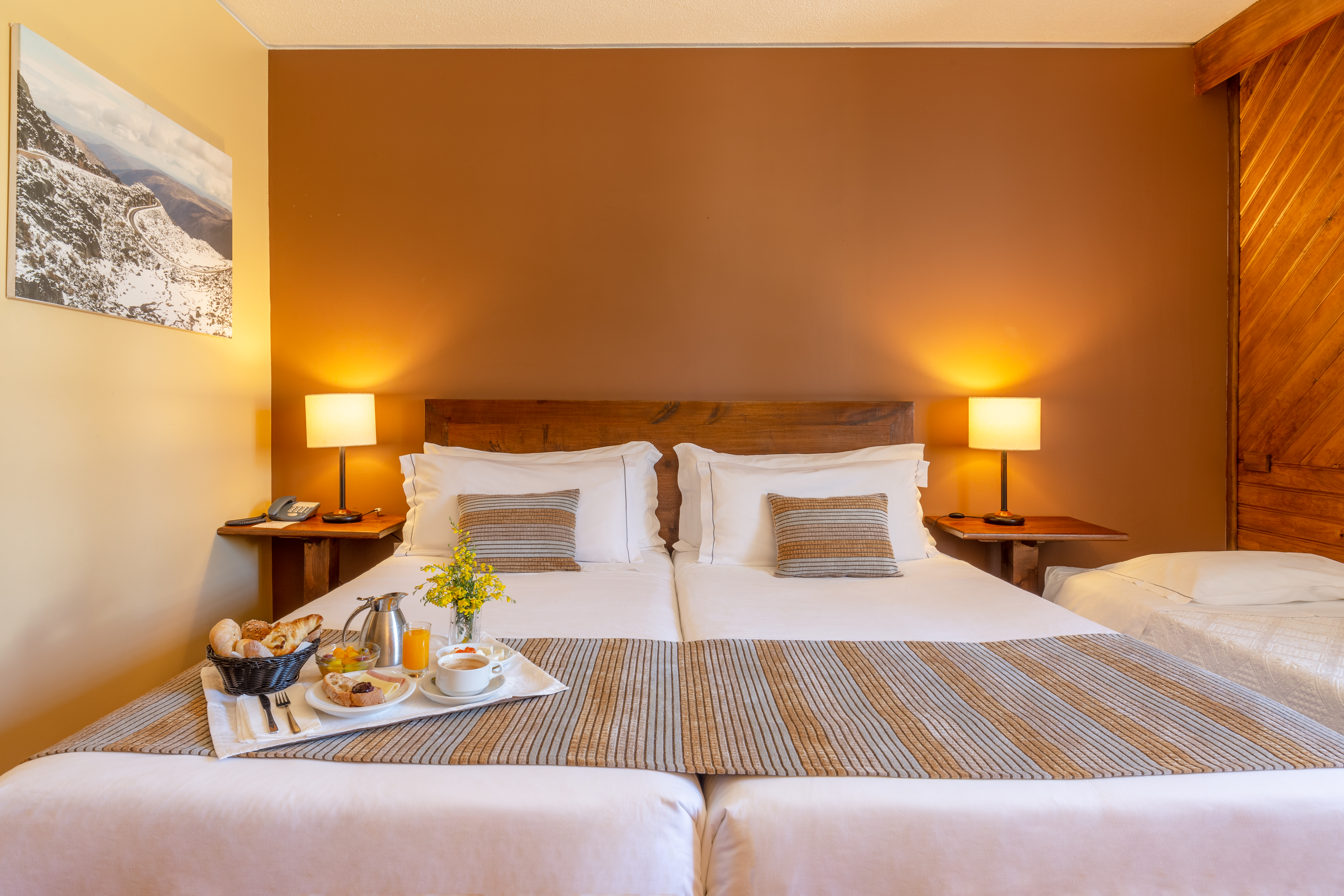 Double or Twin Standard