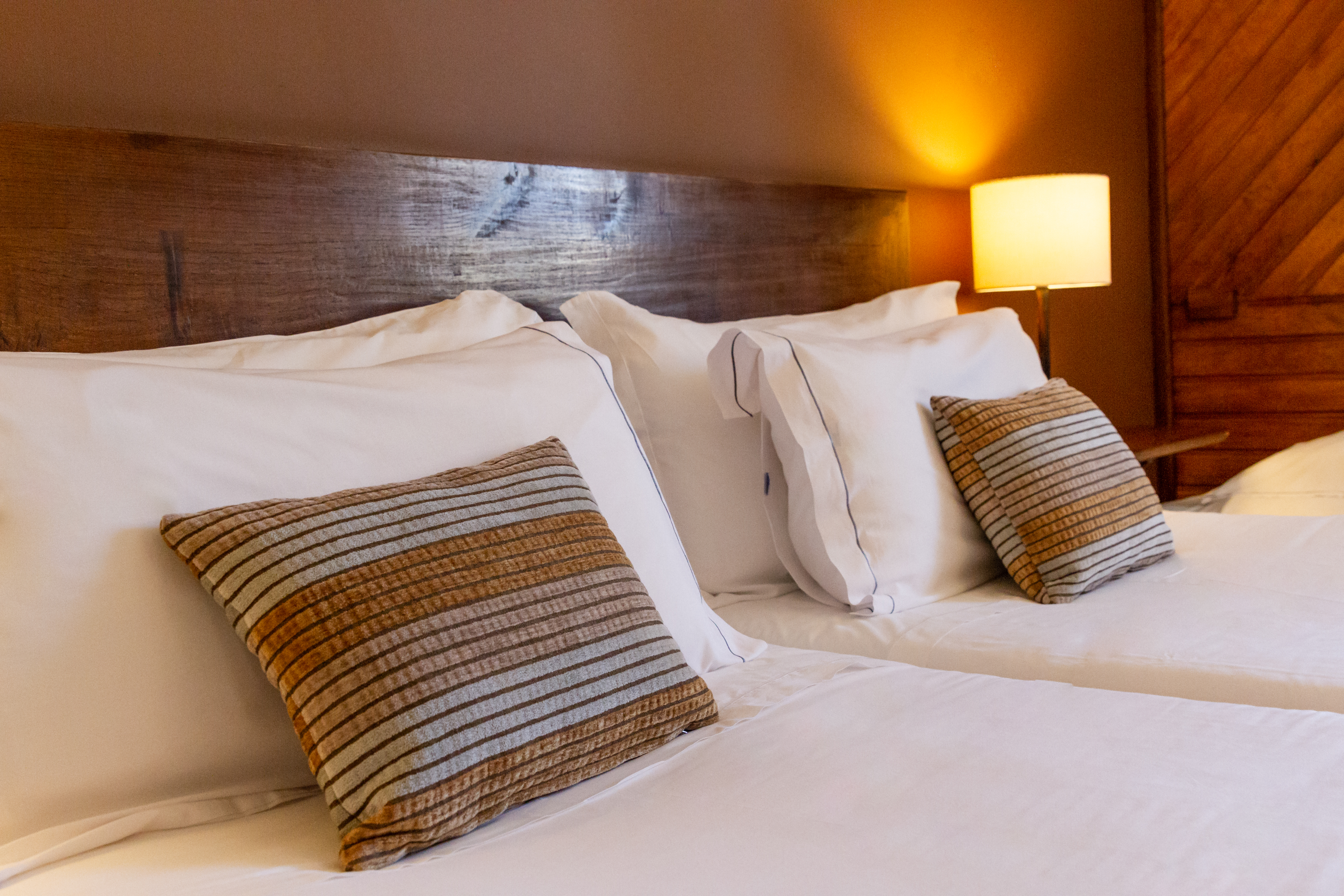 Double or Twin Standard