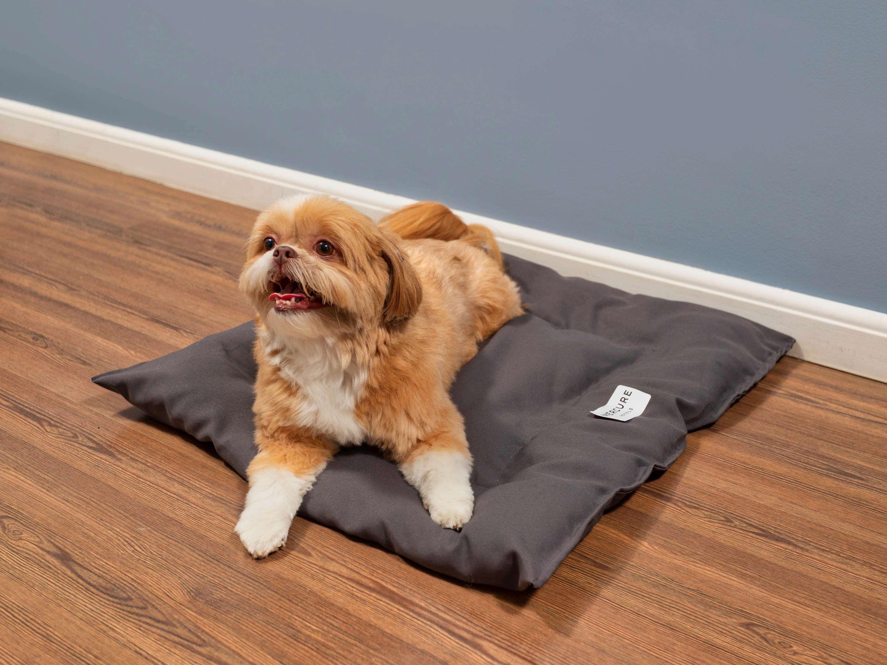 Double Superior with Double Bed