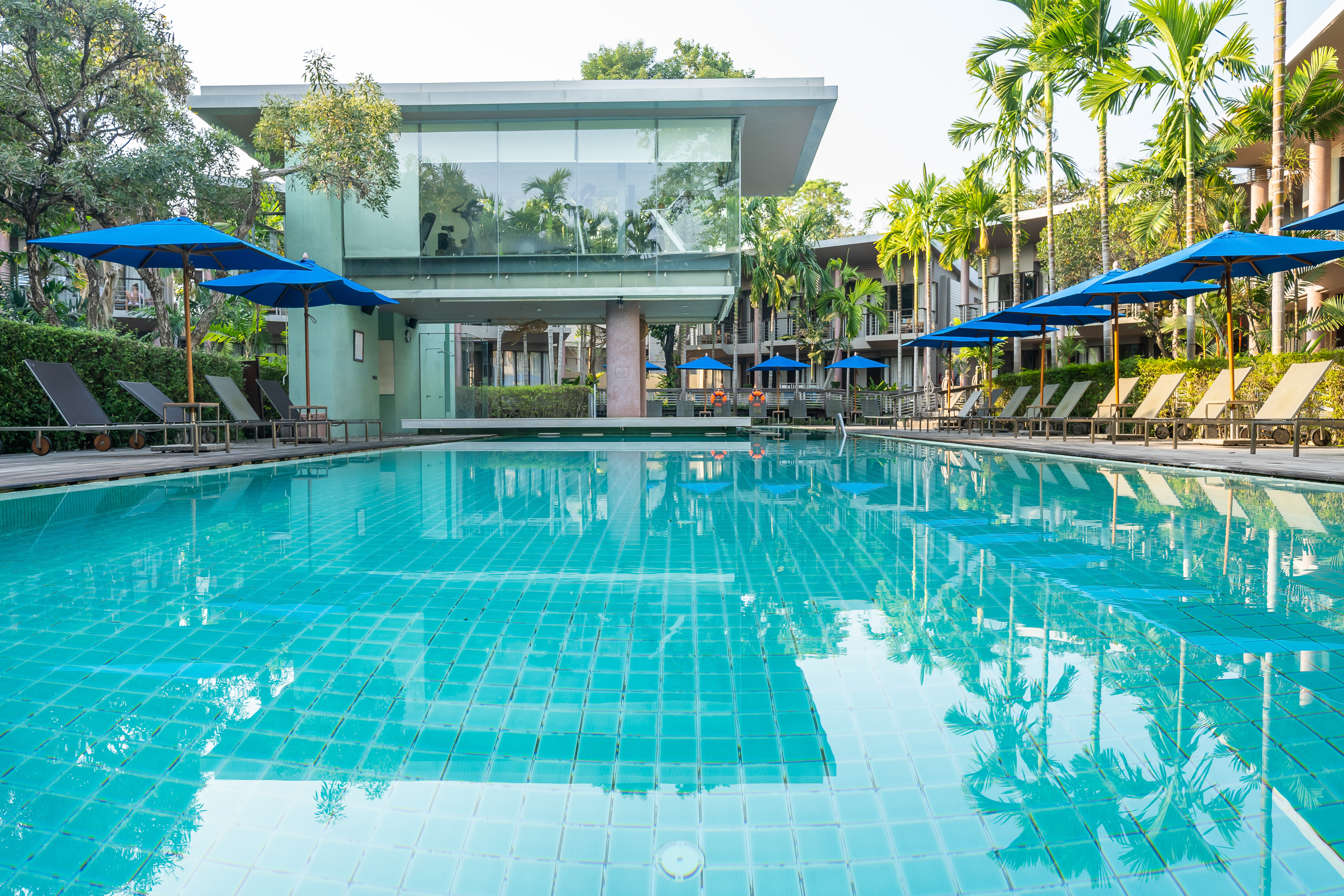 Double or Twin Premier